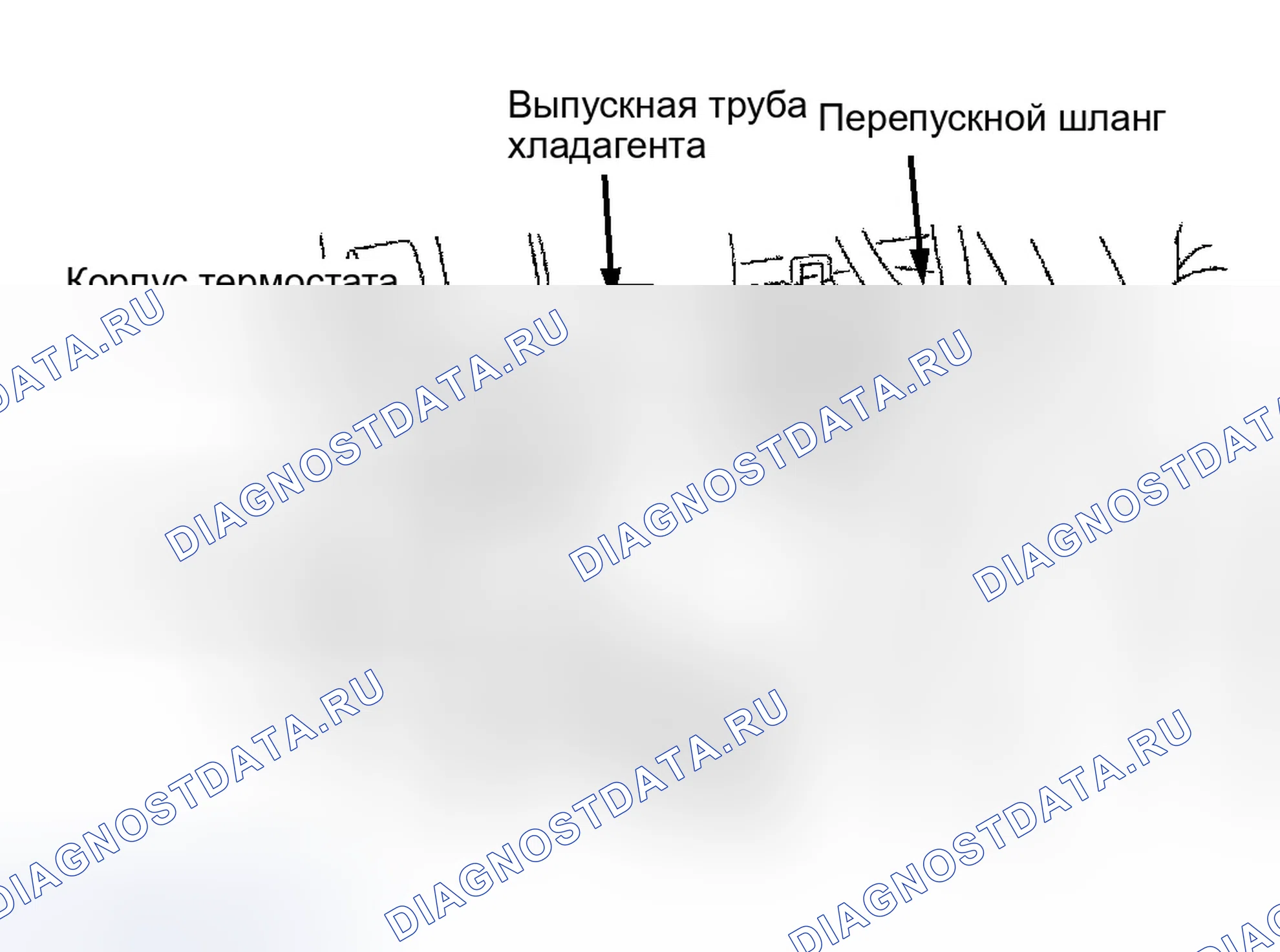 Рис. 92. Jaguar XKR I