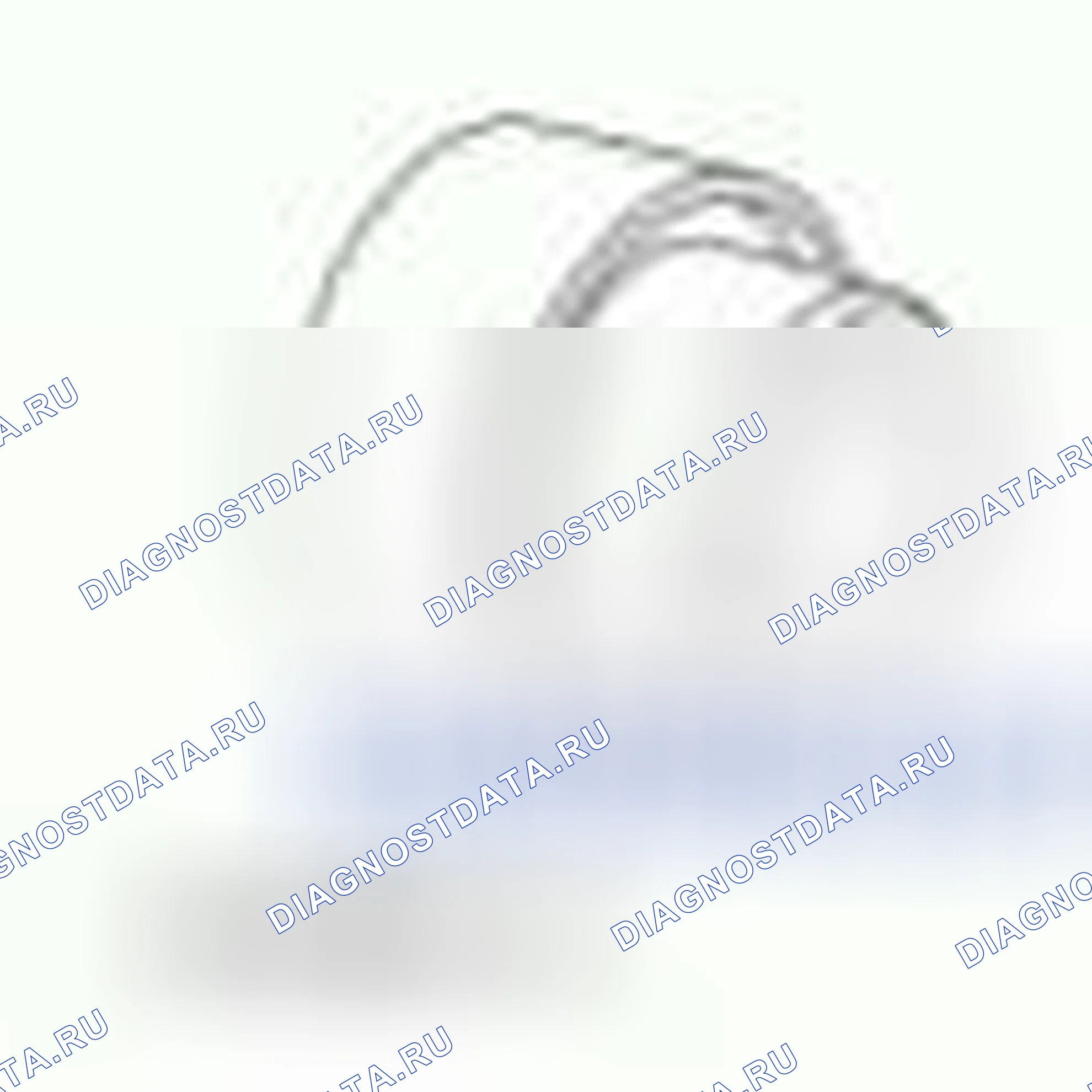 Рис. 450. Hyundai ix55 I