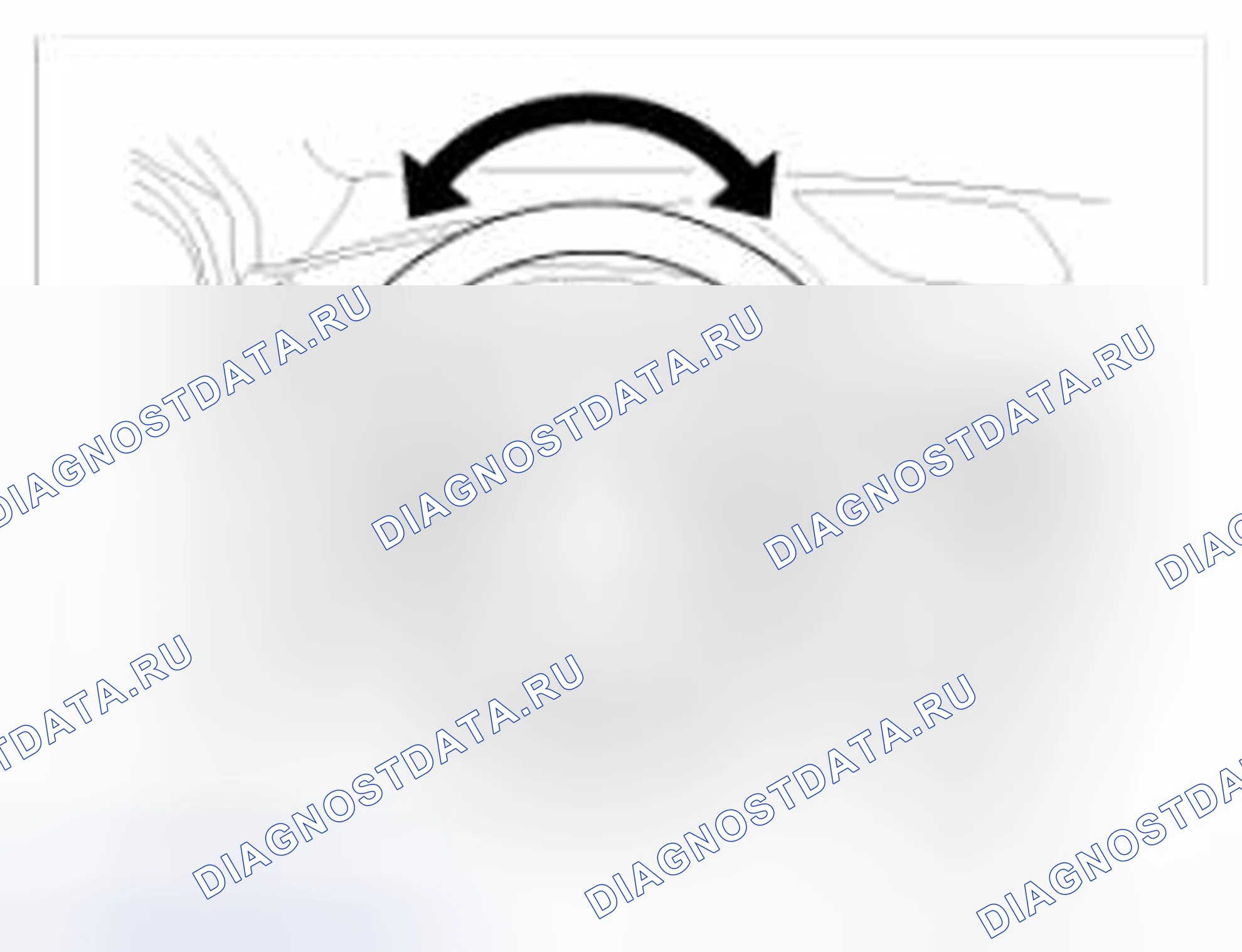Рис. 3: Проверка люфта рулевого колеса. BMW 6 серия F06/F13/F12