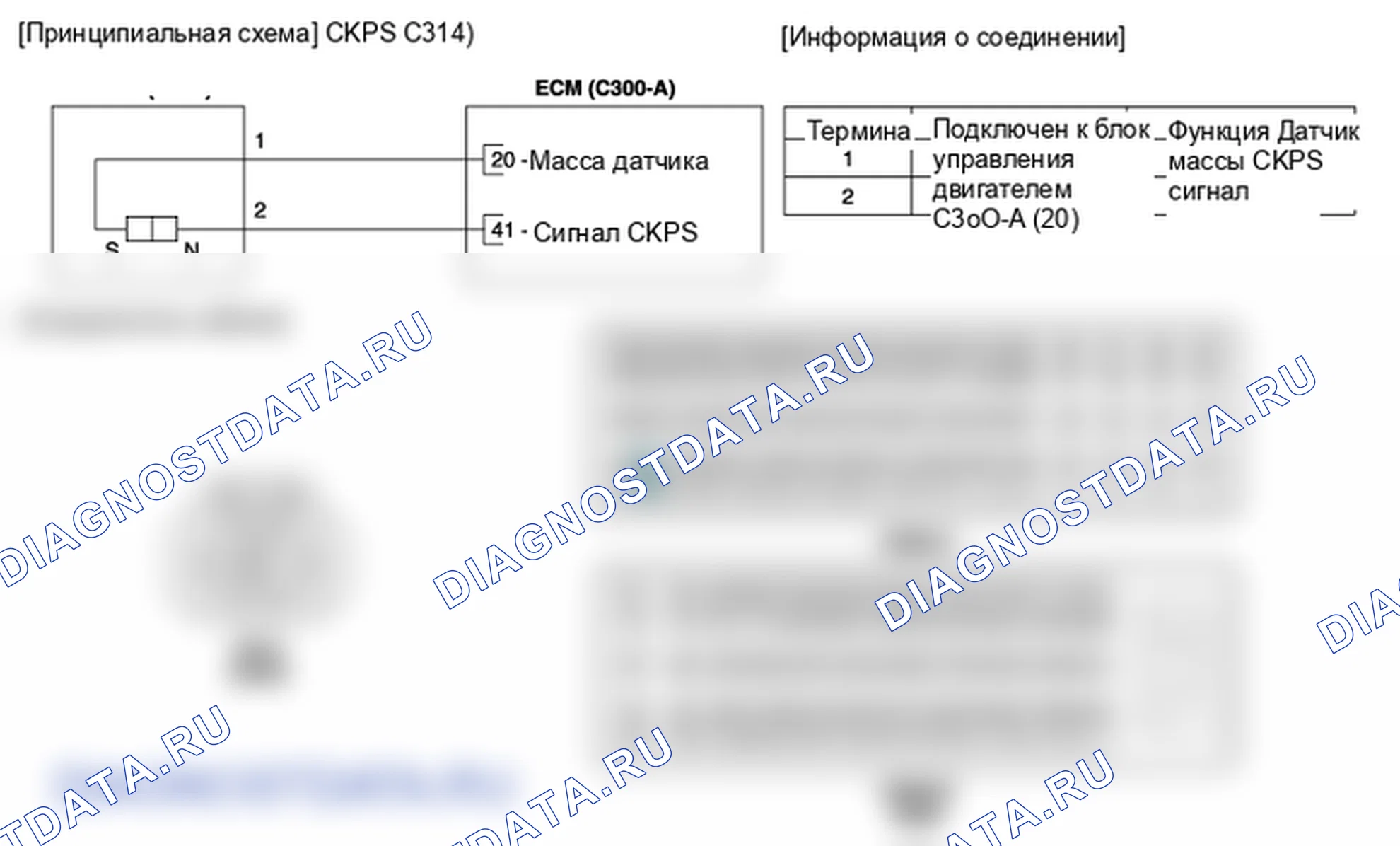 Фрагмент электросхемы: Датчик положения коленчатого вала (CKPS). Hyundai ix35 EL