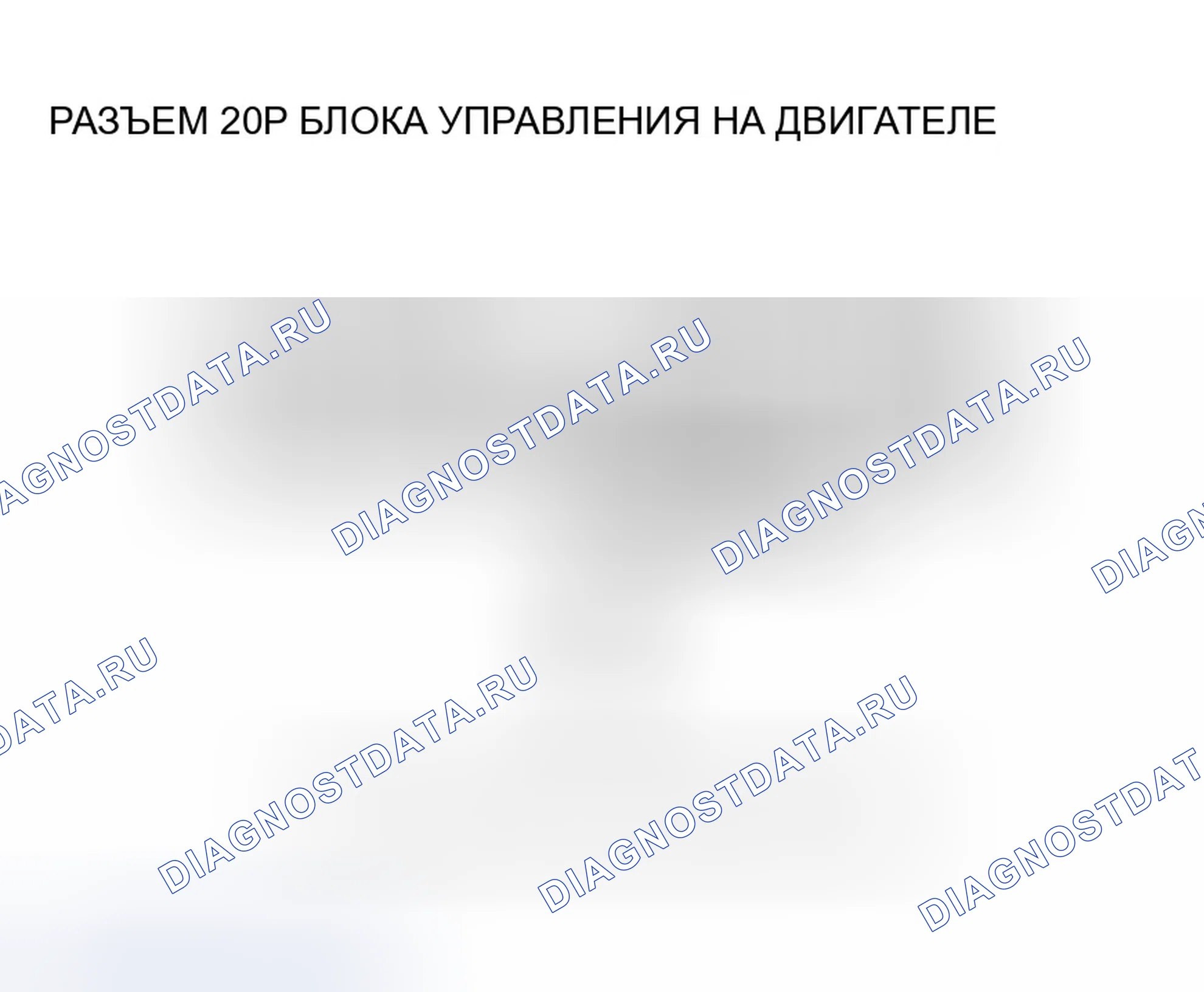 Рис. 591. Honda Accord VII рестайлинг