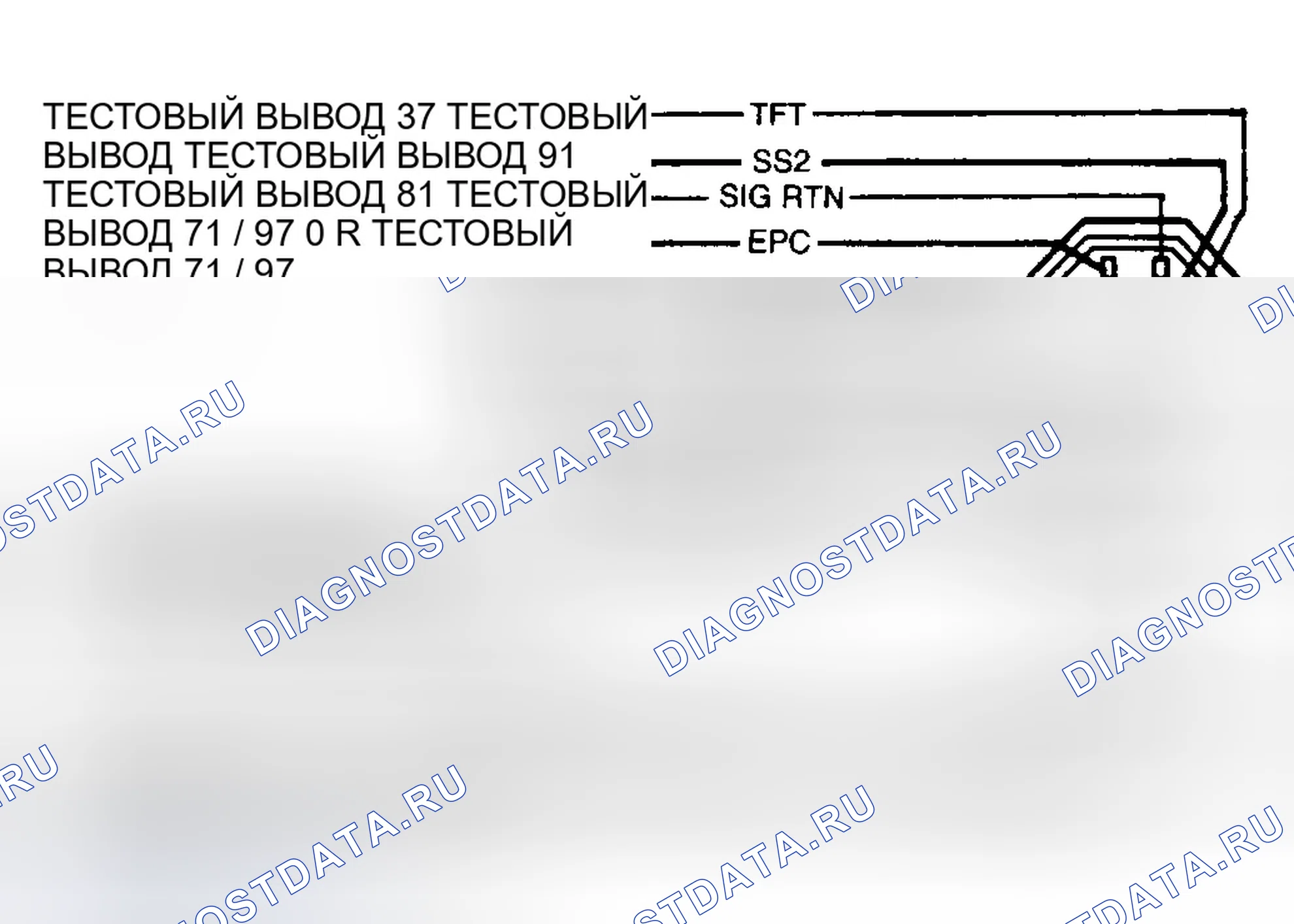 Рис. 48: Цепь передачи и клеммы разъемов. Ford Mustang IV