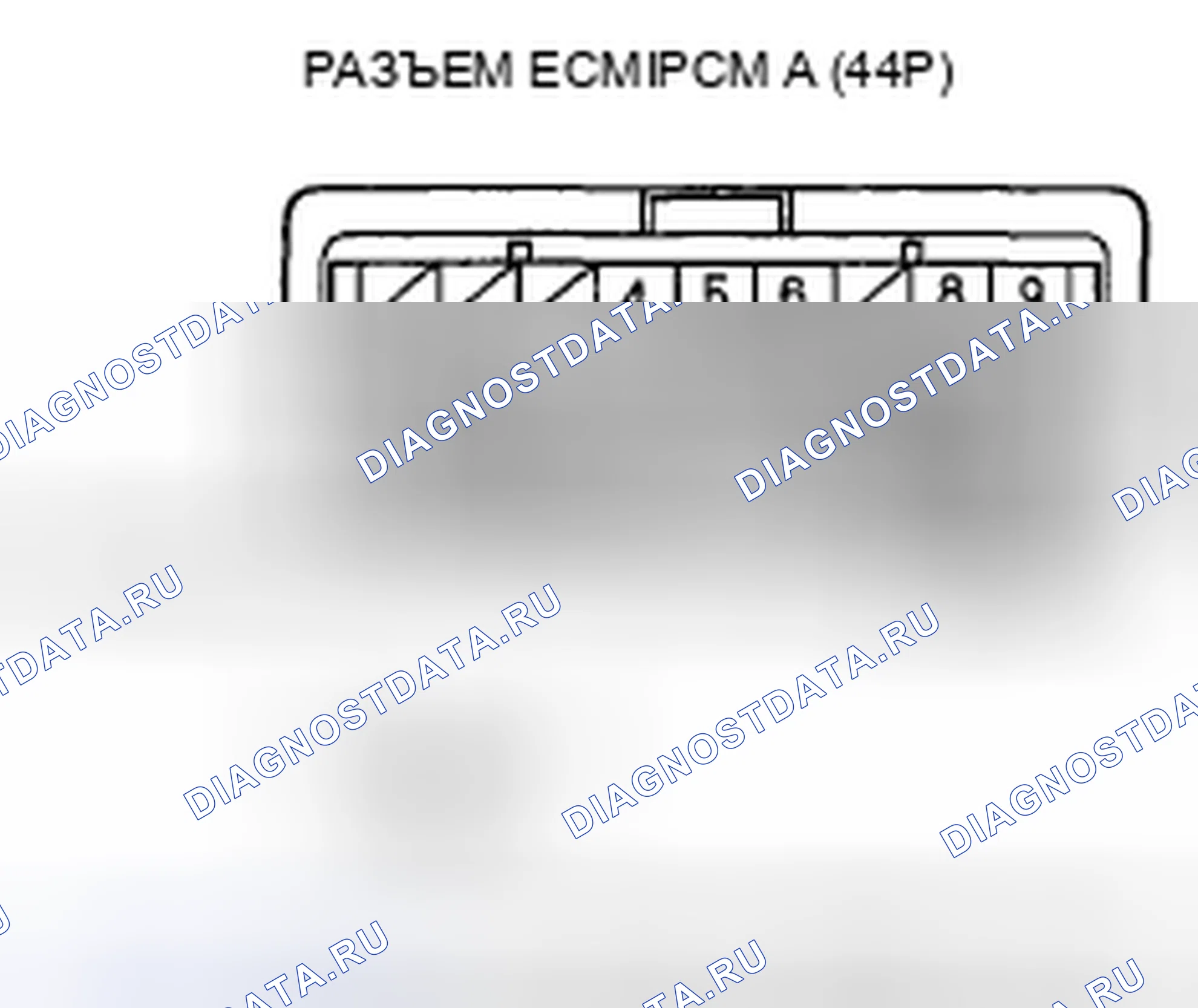 Рис. 246. Acura CSX I
