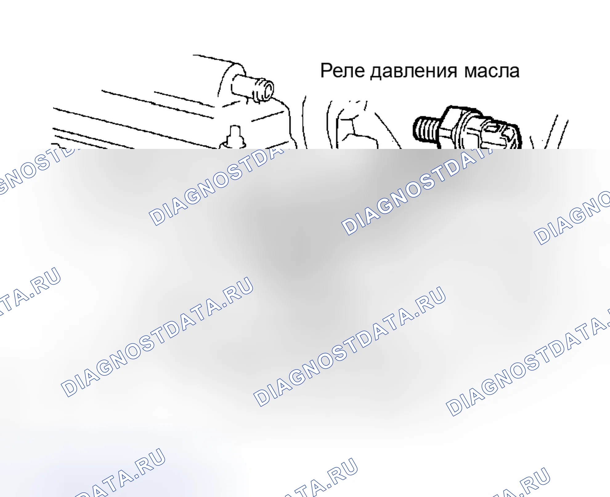 Рис. 2. Scion tC II