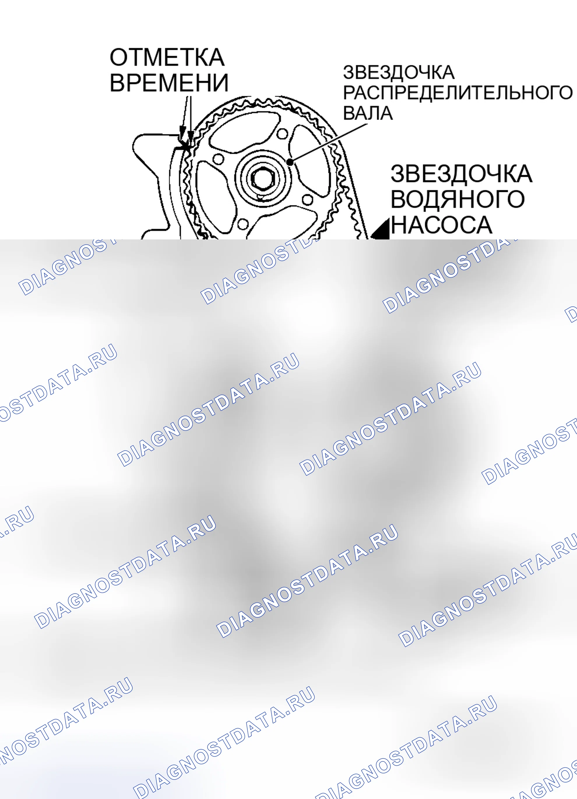 Рис. 49: >> B <<РЕГУЛИРОВКА НАТЯЖЕНИЯ РЕМНЯ ГРМ. Mitsubishi Lancer Evolution IX