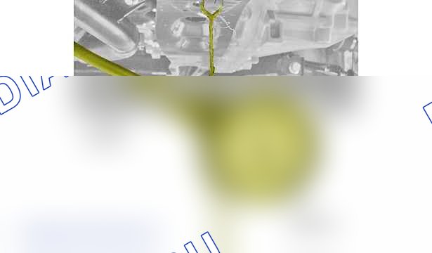 Проверка: давление масла — b1fd08od. Peugeot 4008 I