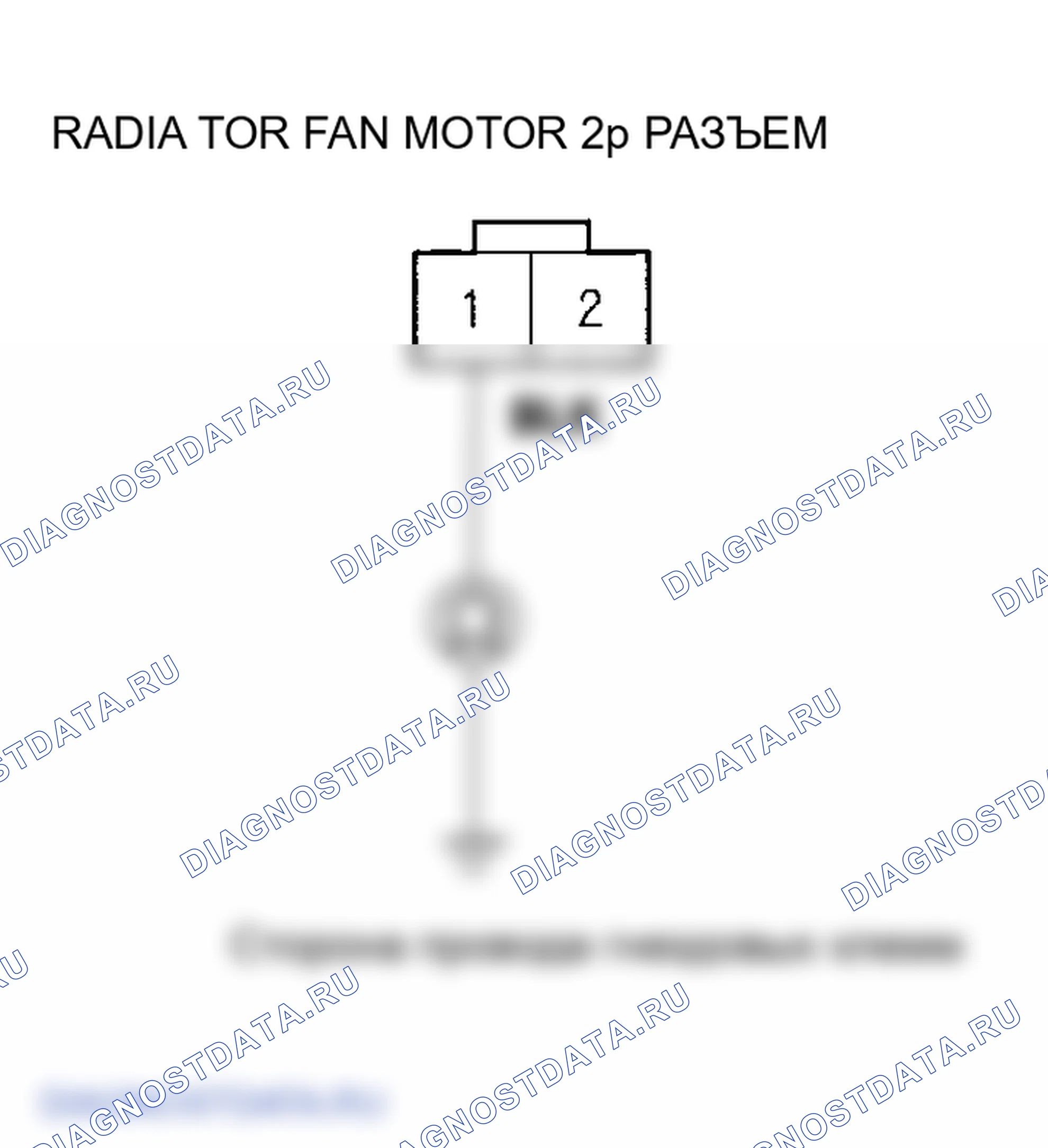 Рис. 7. Honda Element YH2