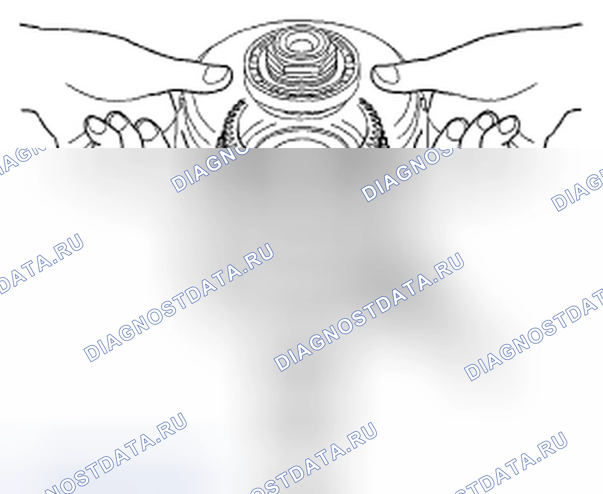 Рис. 68. Honda Crosstour I