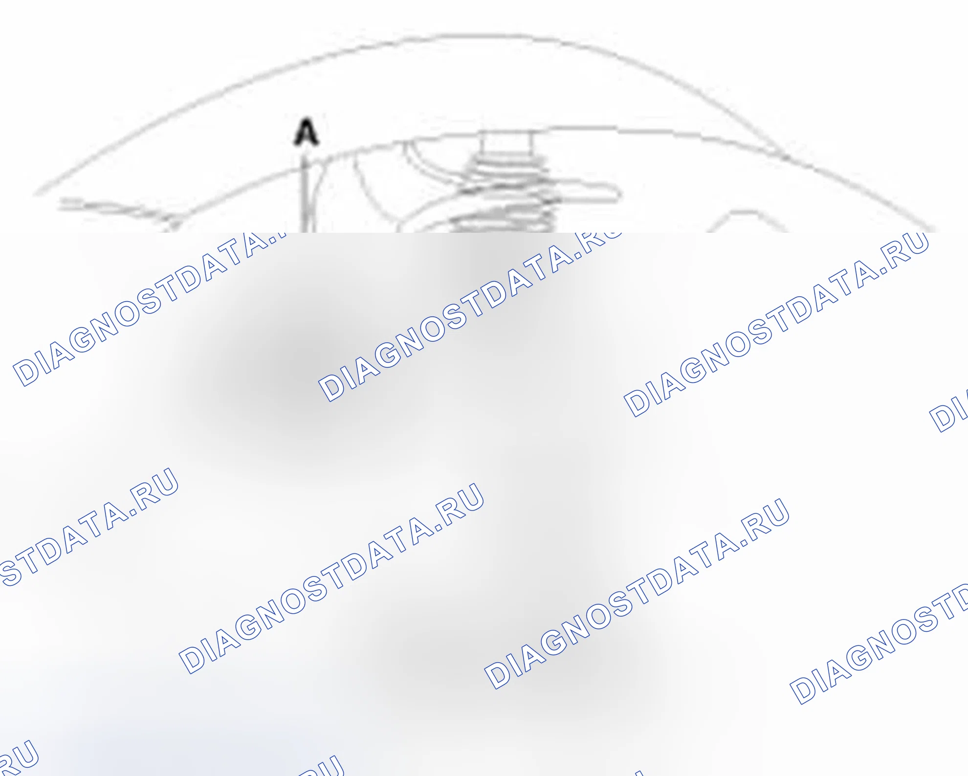 Рис. 11. Hyundai Sonata VI