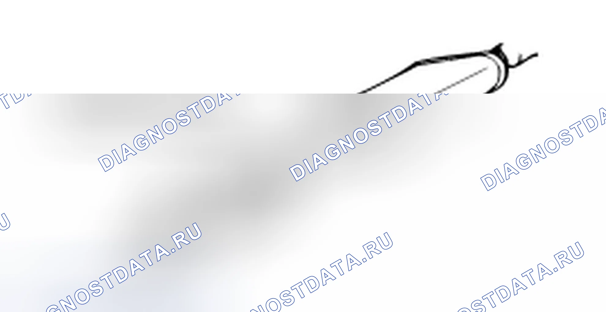 Расположение компонентов и компонентов. Hyundai H-1 A1