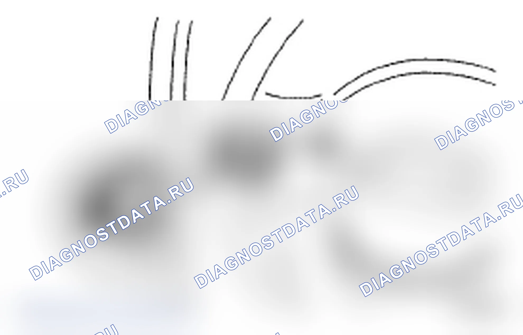 Рис. 218. Toyota Land Cruiser 200