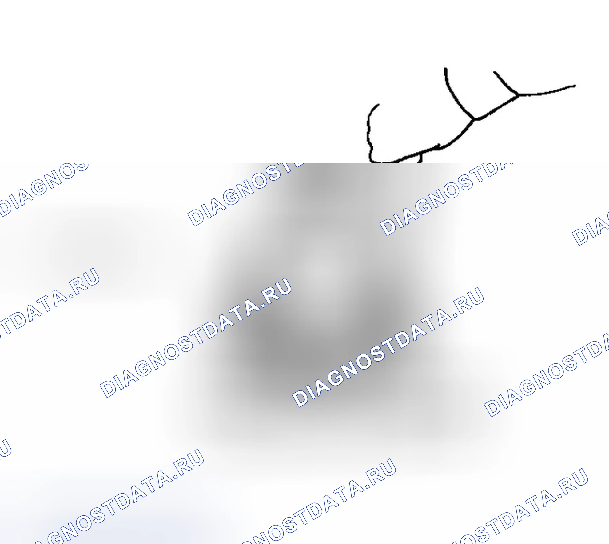 Рис. 275. Infiniti G35 III