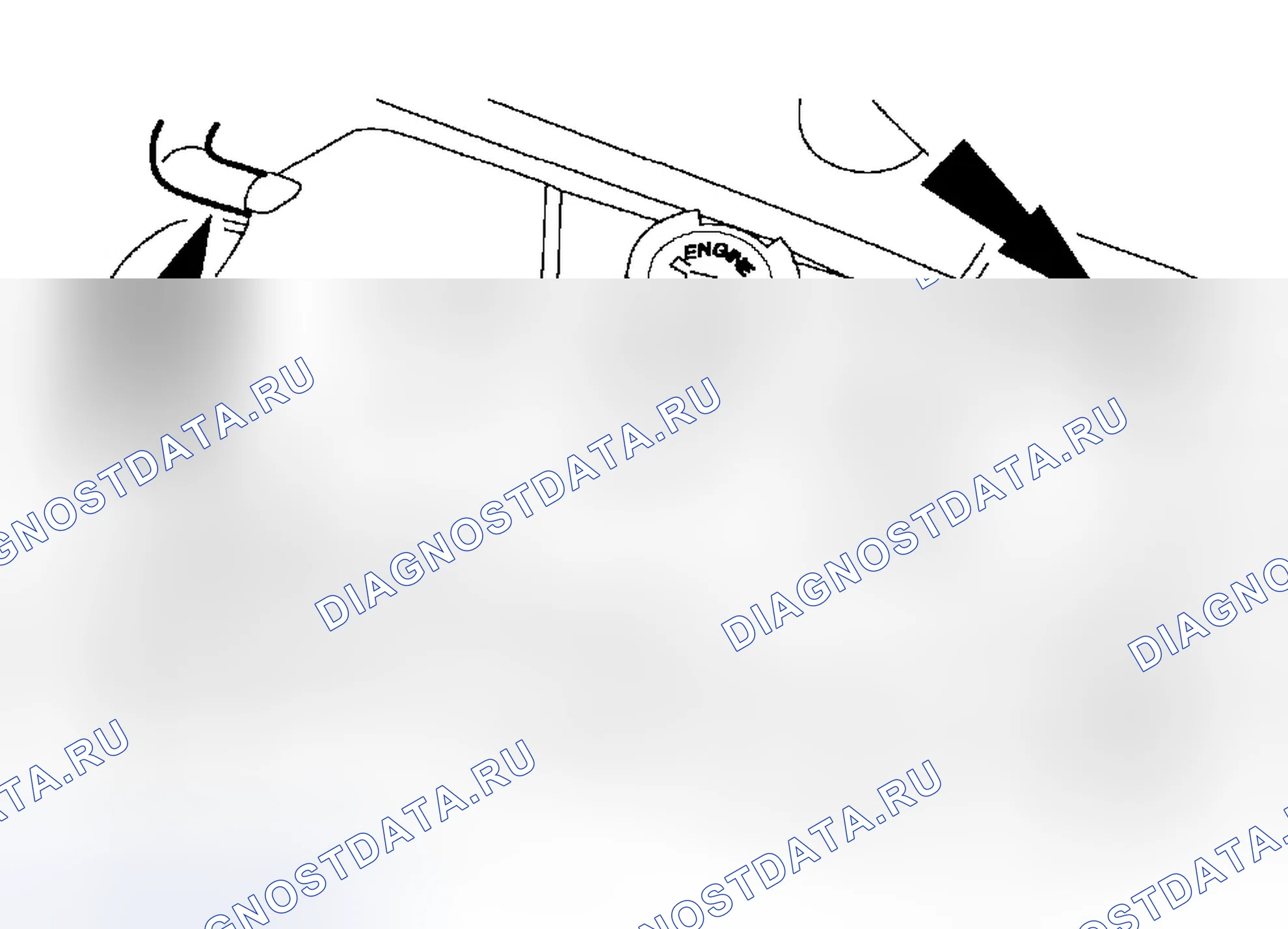 Рис. 806. Ford Focus I рестайлинг