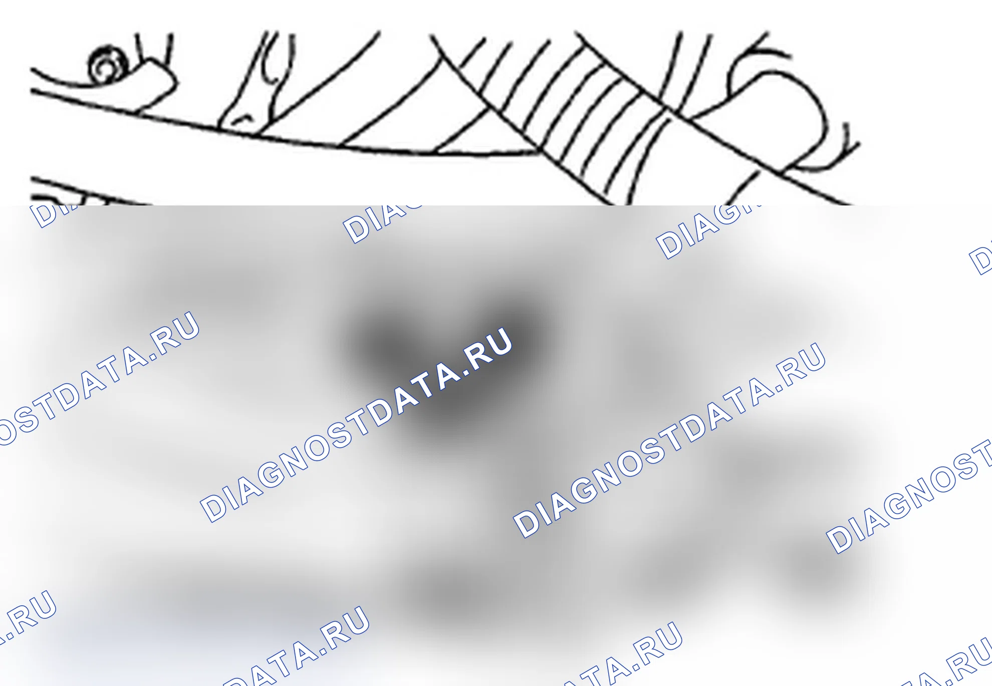 Рис. 463. Subaru Impreza WRX STI GR