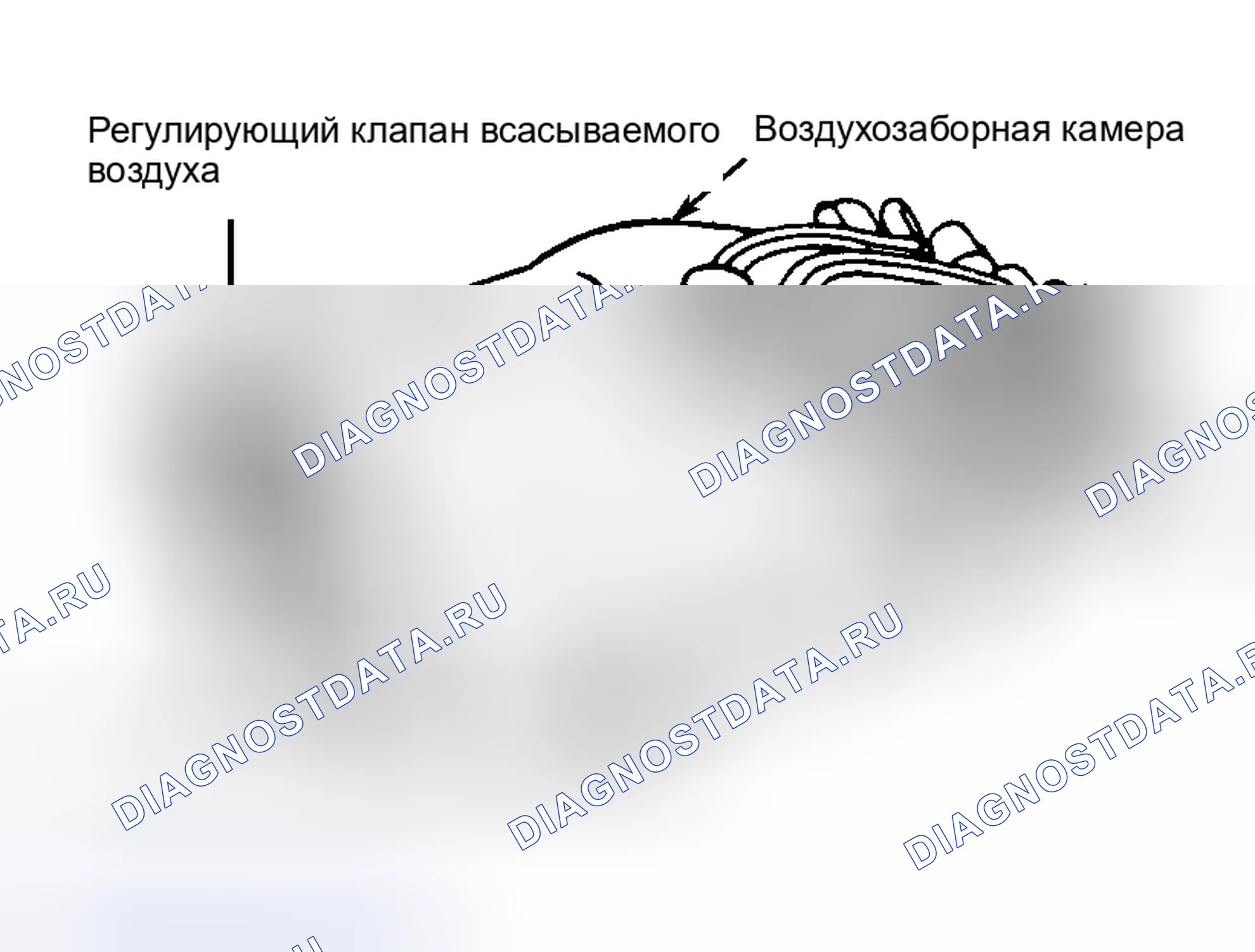 Рис. 3: Supra Non-Turbo. Toyota Avalon XX10 рестайлинг