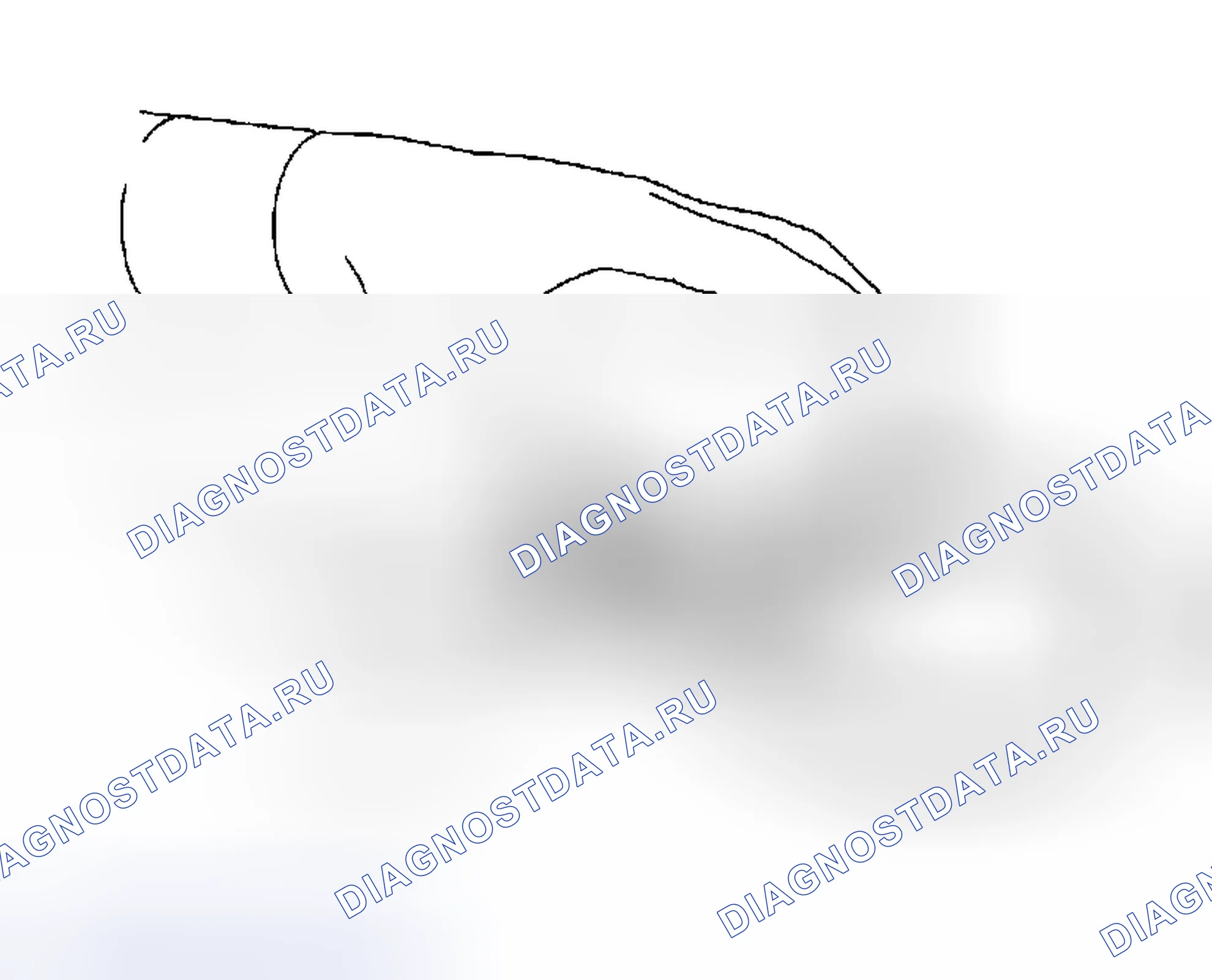Рис. 251. Subaru Forester SG
