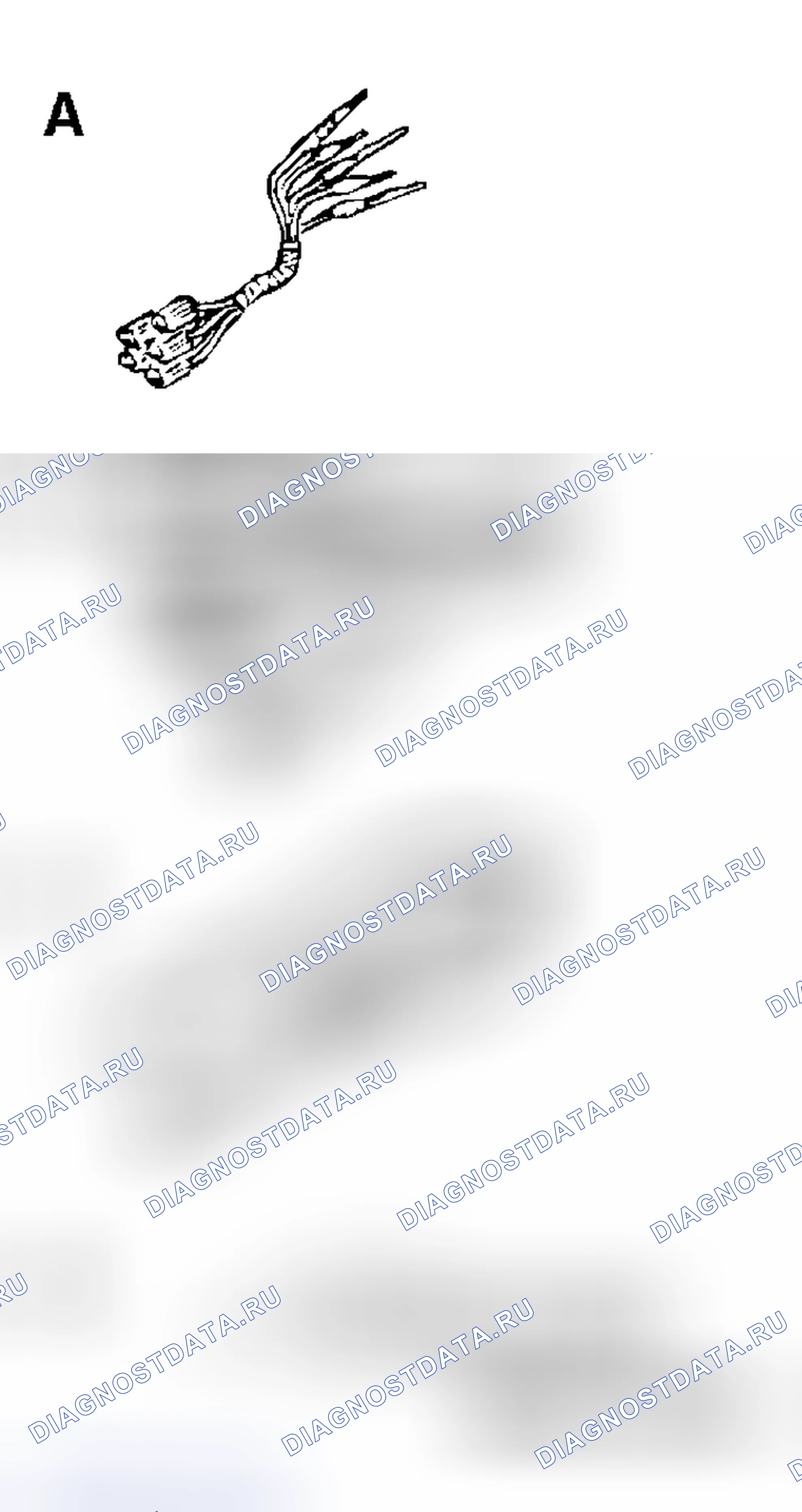 Рис. 86. Honda Fit Shuttle I