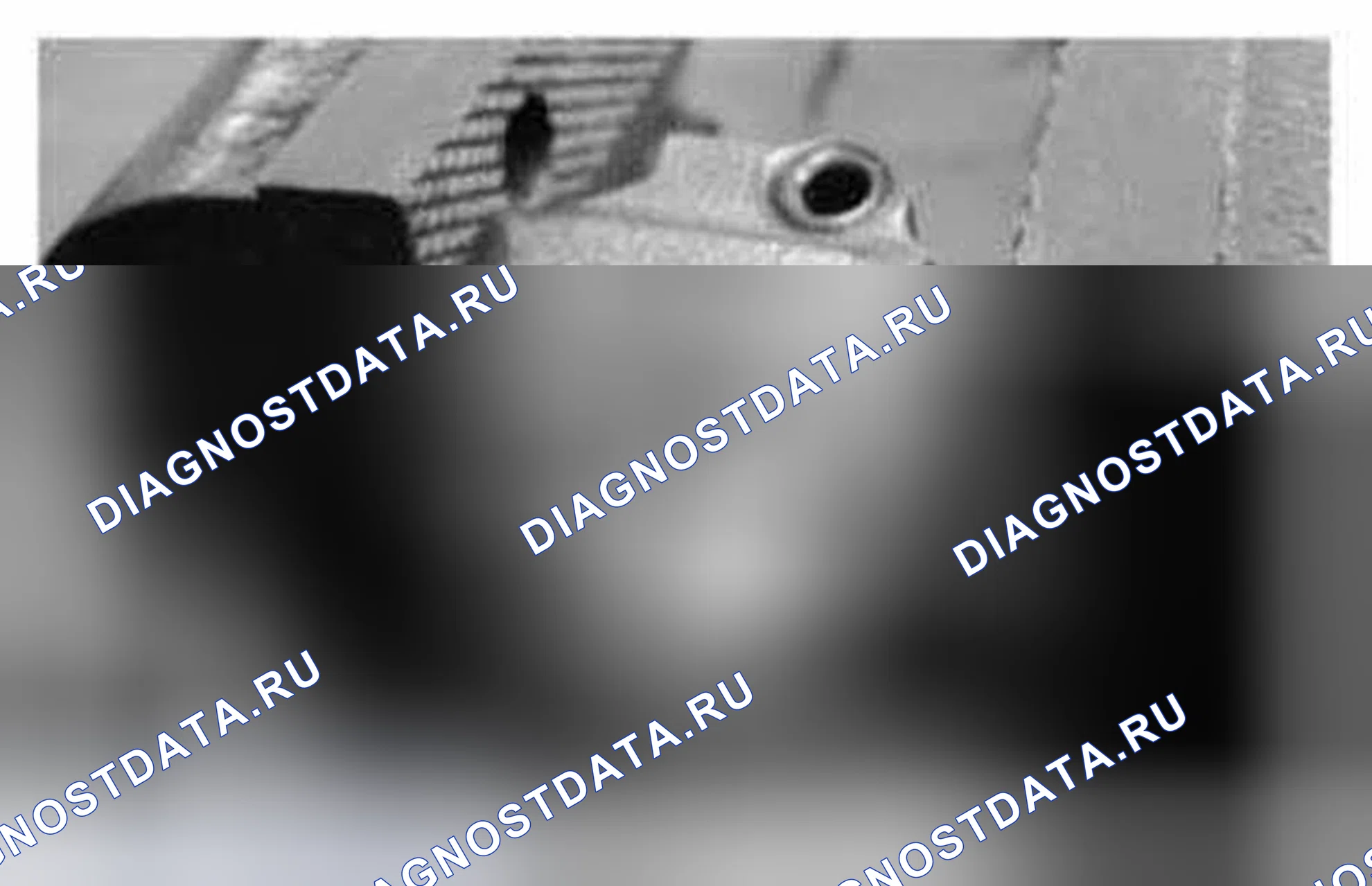 Рис. 1242. Ford Mustang V рестайлинг