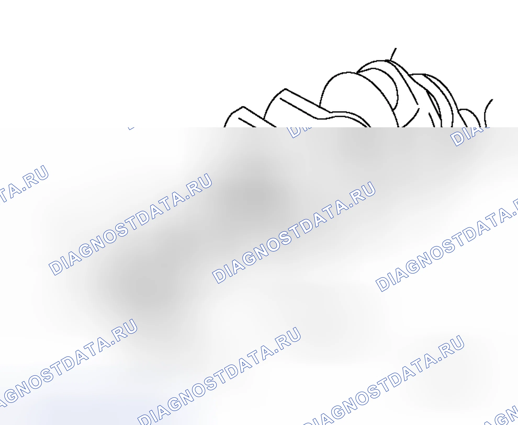 Рис. 122. Honda N-WGN I