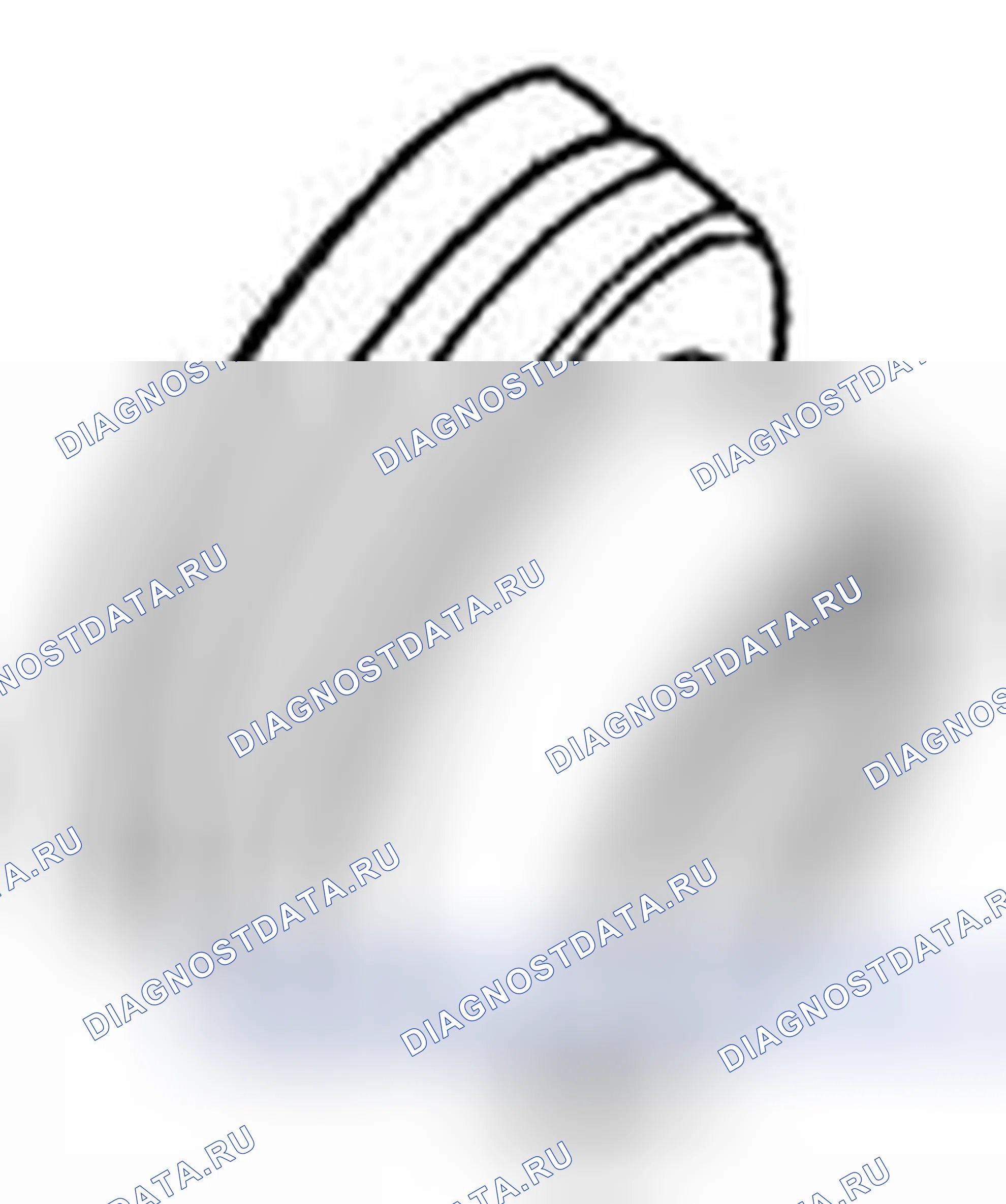 Рис. 95. Suzuki Equator I