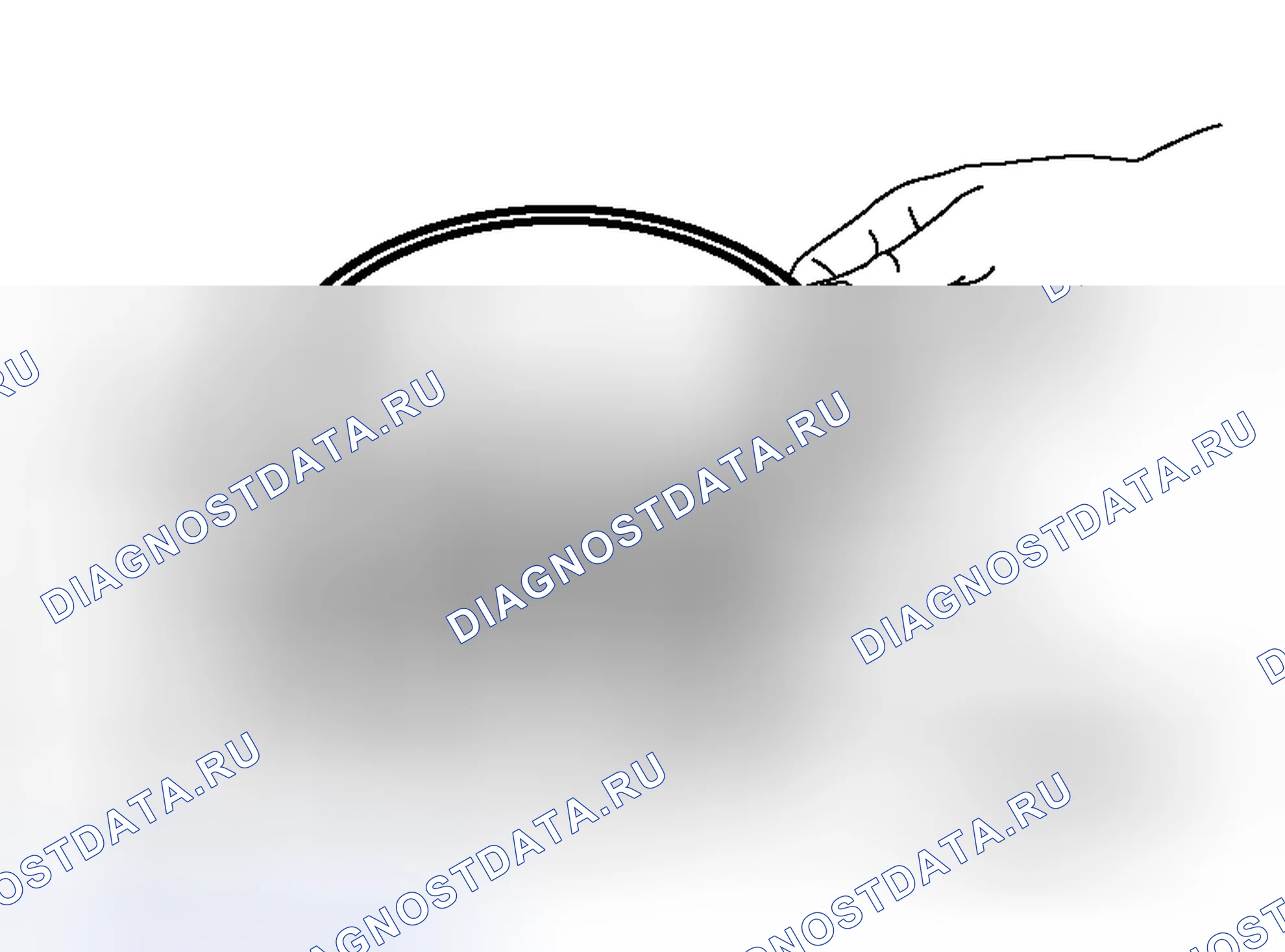 Рис. 421. Honda Envix I