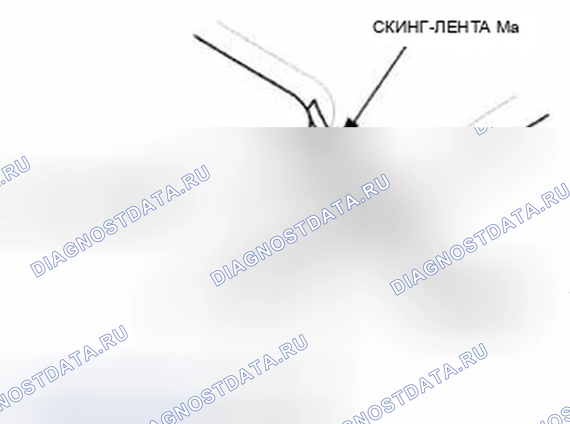 Рис. 299. Honda Civic IX