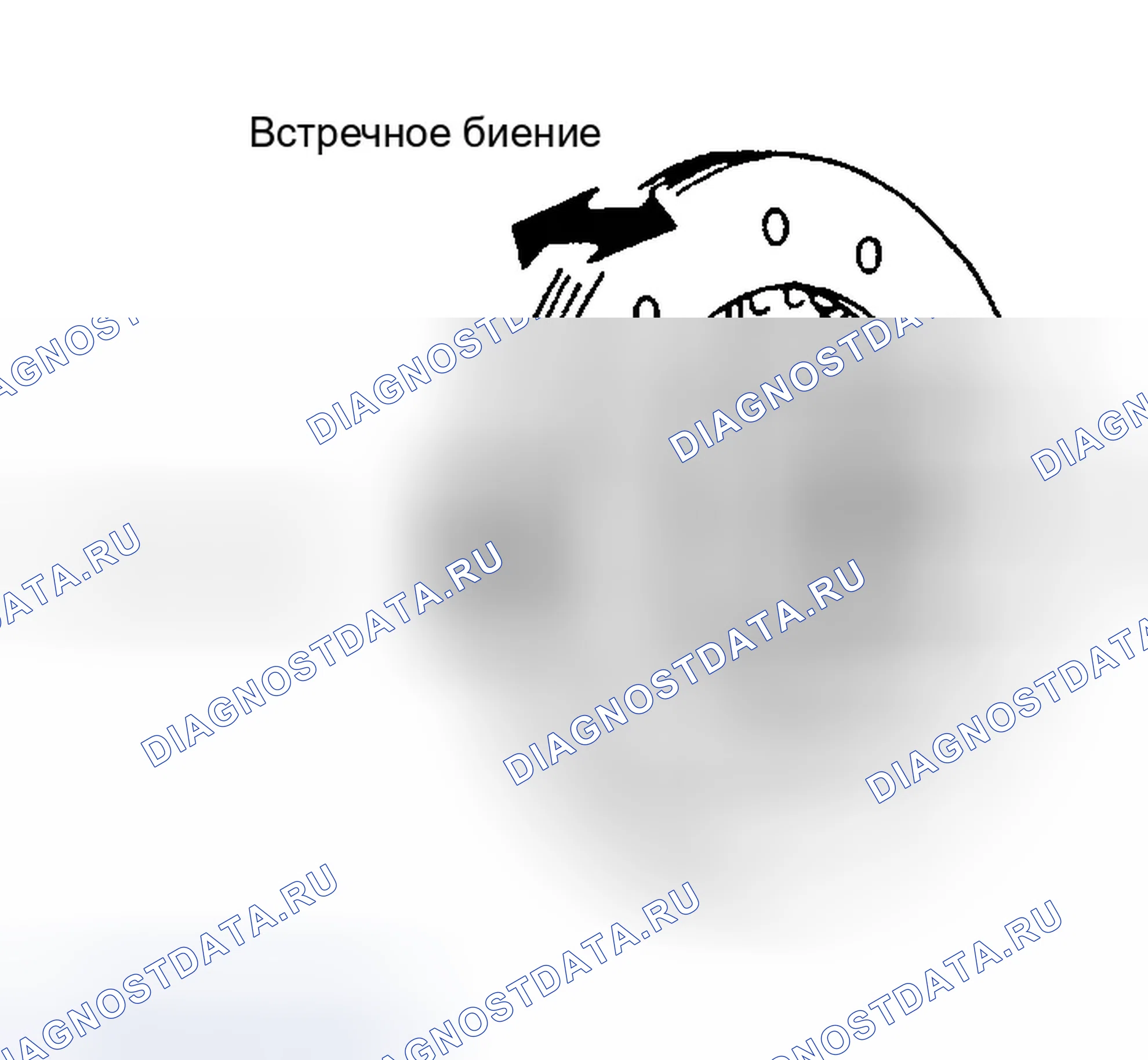Рис. 39: Диск сцепления. Infiniti G35 III
