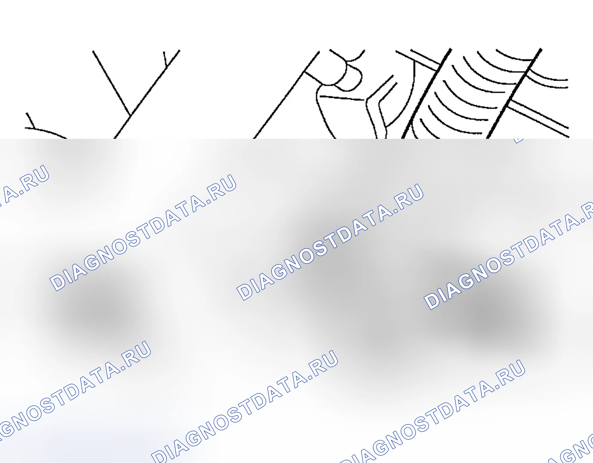 Рис. 411. Ford Explorer Sport Trac I