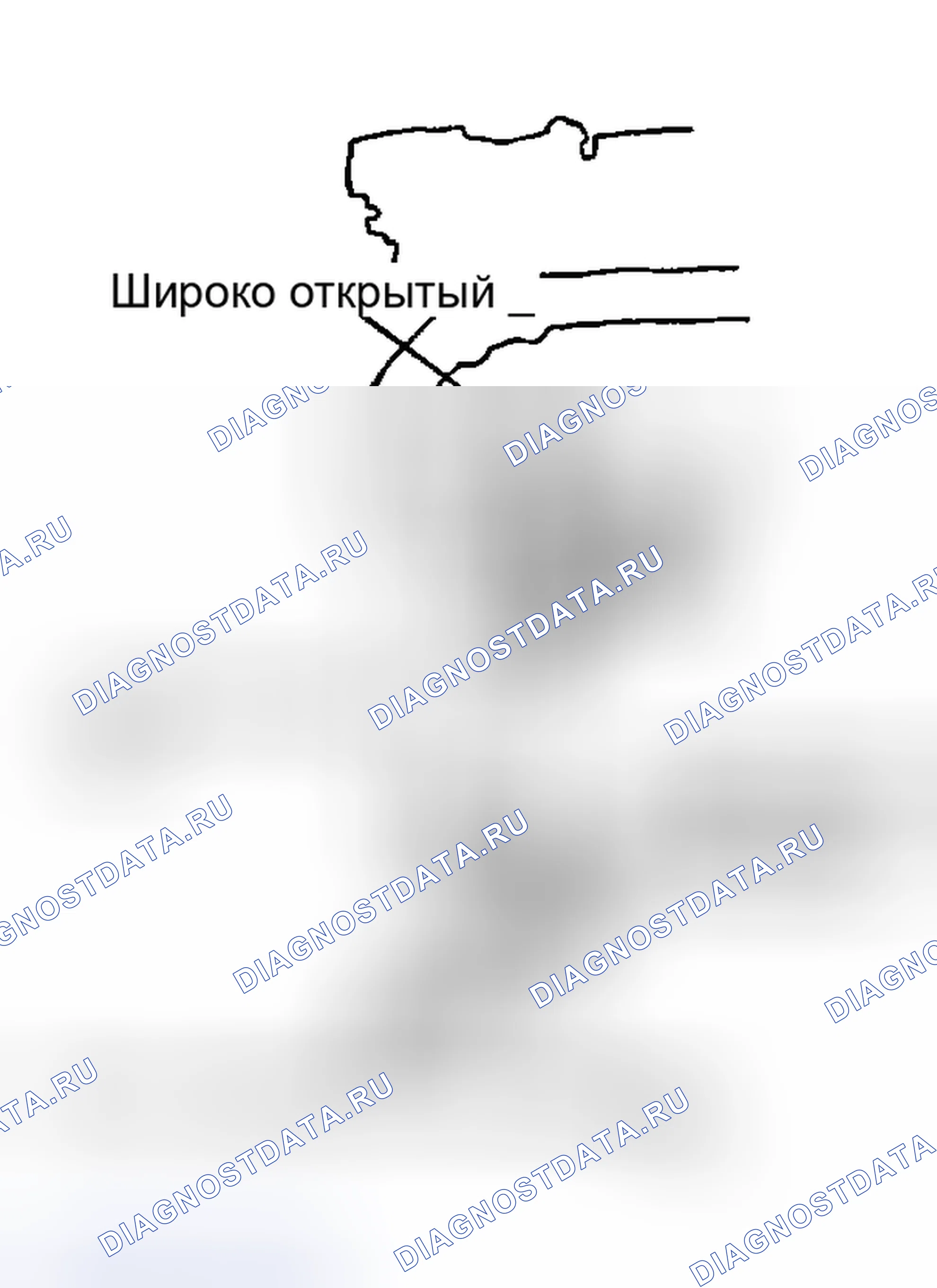 Рис. 47: ПИКАП. Mitsubishi Sigma I