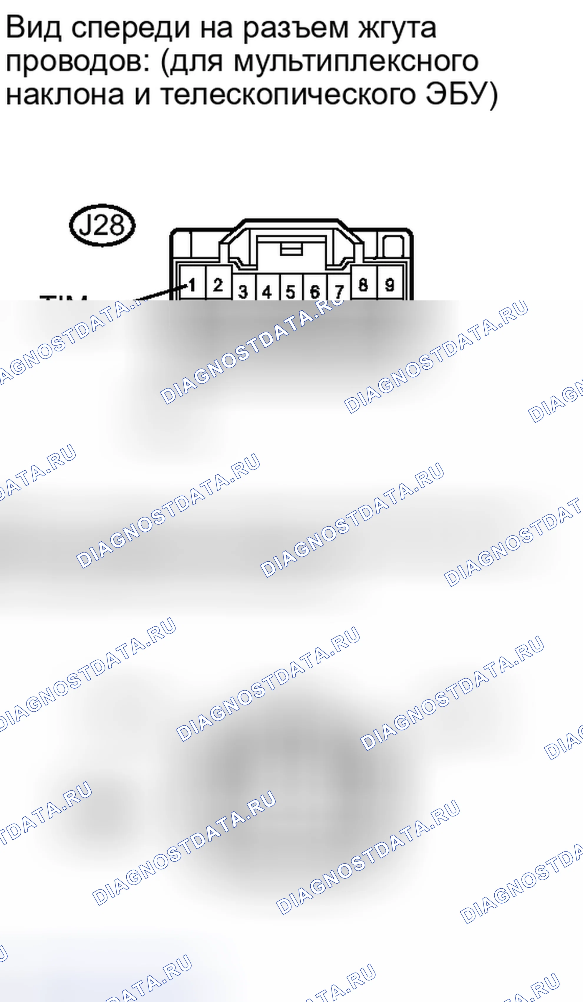 Рис. 51. Lexus IS F I