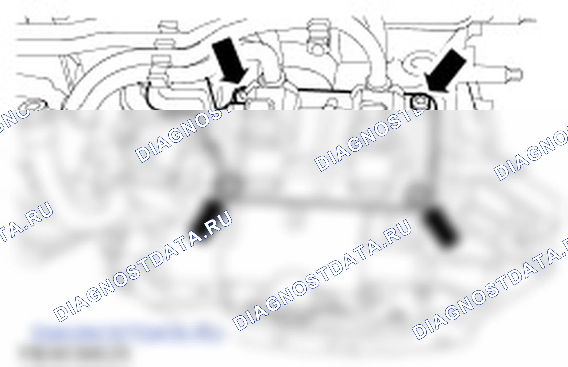 Разборка двигателя. Ford C-MAX I рестайлинг