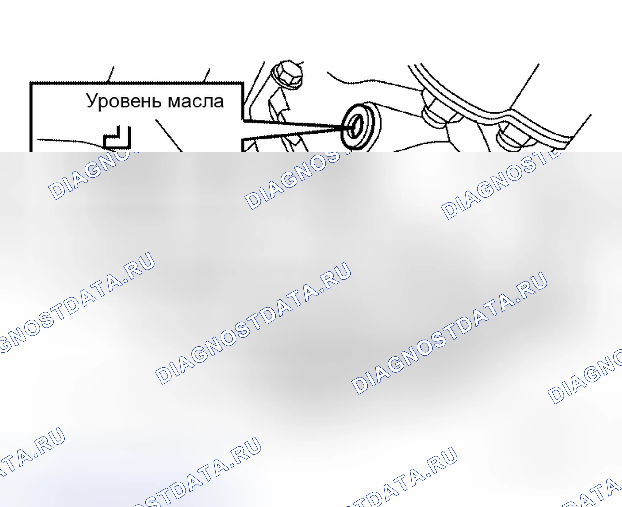 Рис. 5: ЗАПОЛНЕНИЕ. Honda Odyssey I