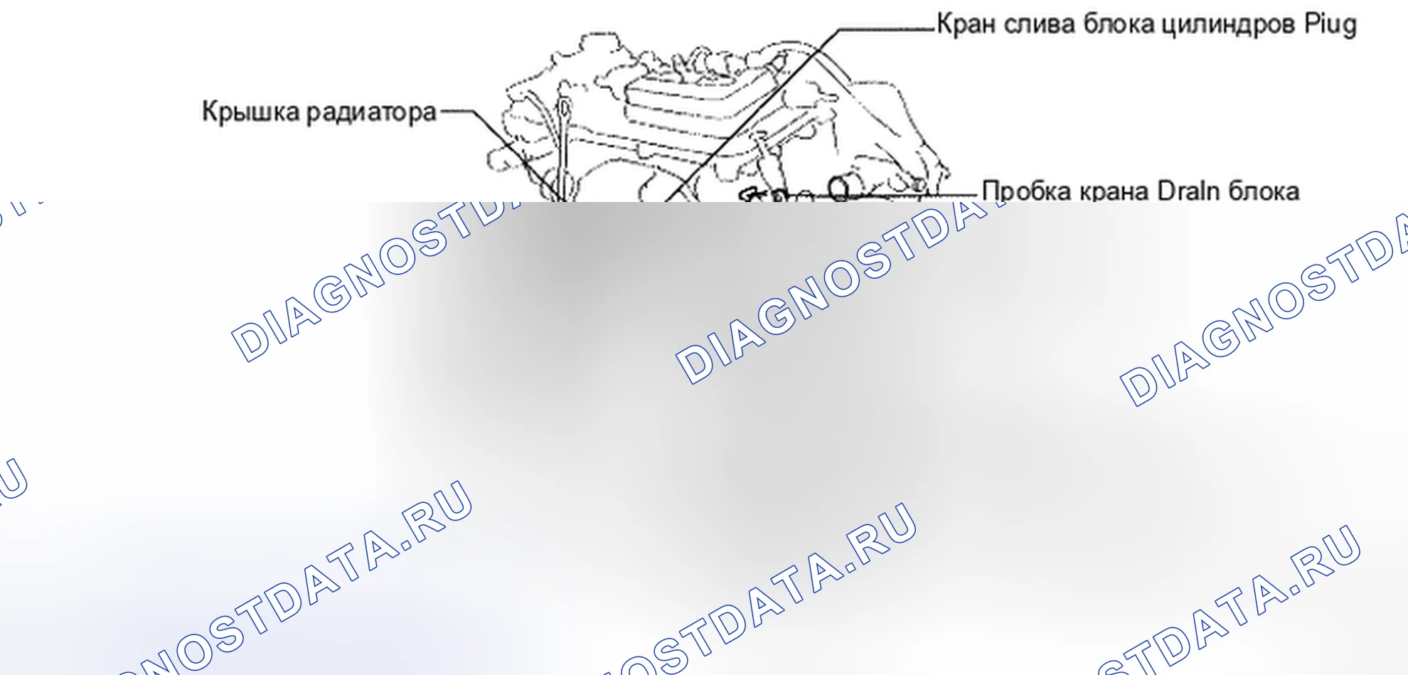 Рис. 5: ОСМОТР ТРАНСПОРТНОГО СРЕДСТВА. Haval H5 II