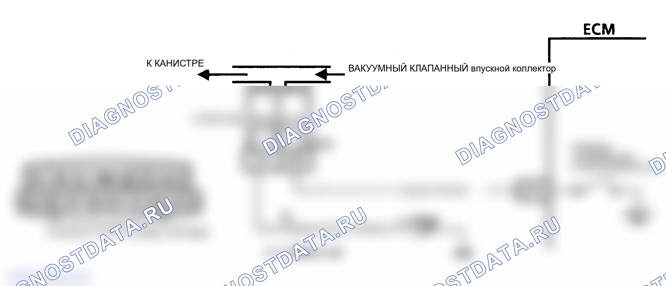 Рис. 685: Блок-схема С3, проверка продувки канистры (корпуса «A «/« J »/» L »). Oldsmobile Cutlass Ciera I
