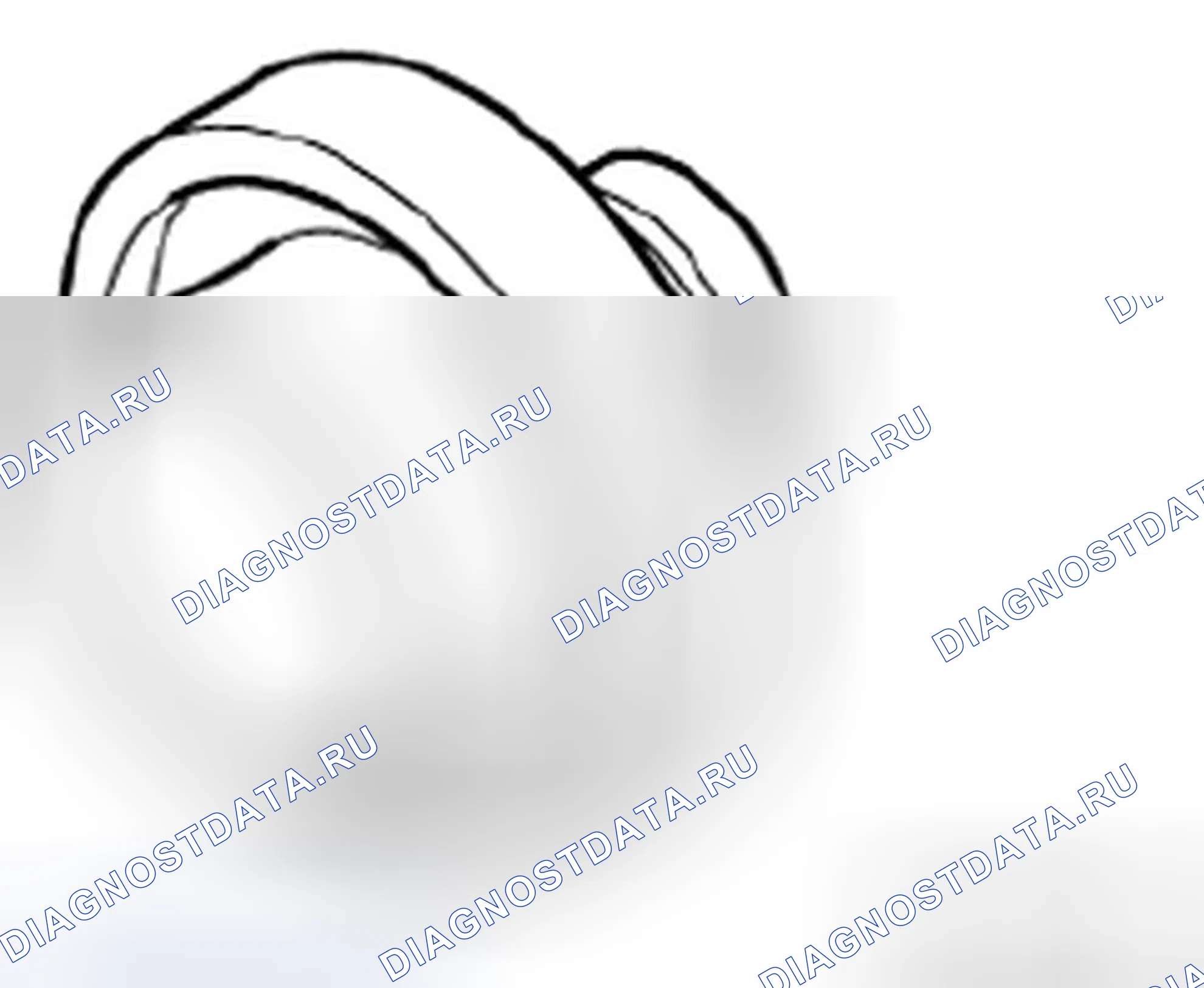 Рис. 386: Номер SI. BMW M3 E90