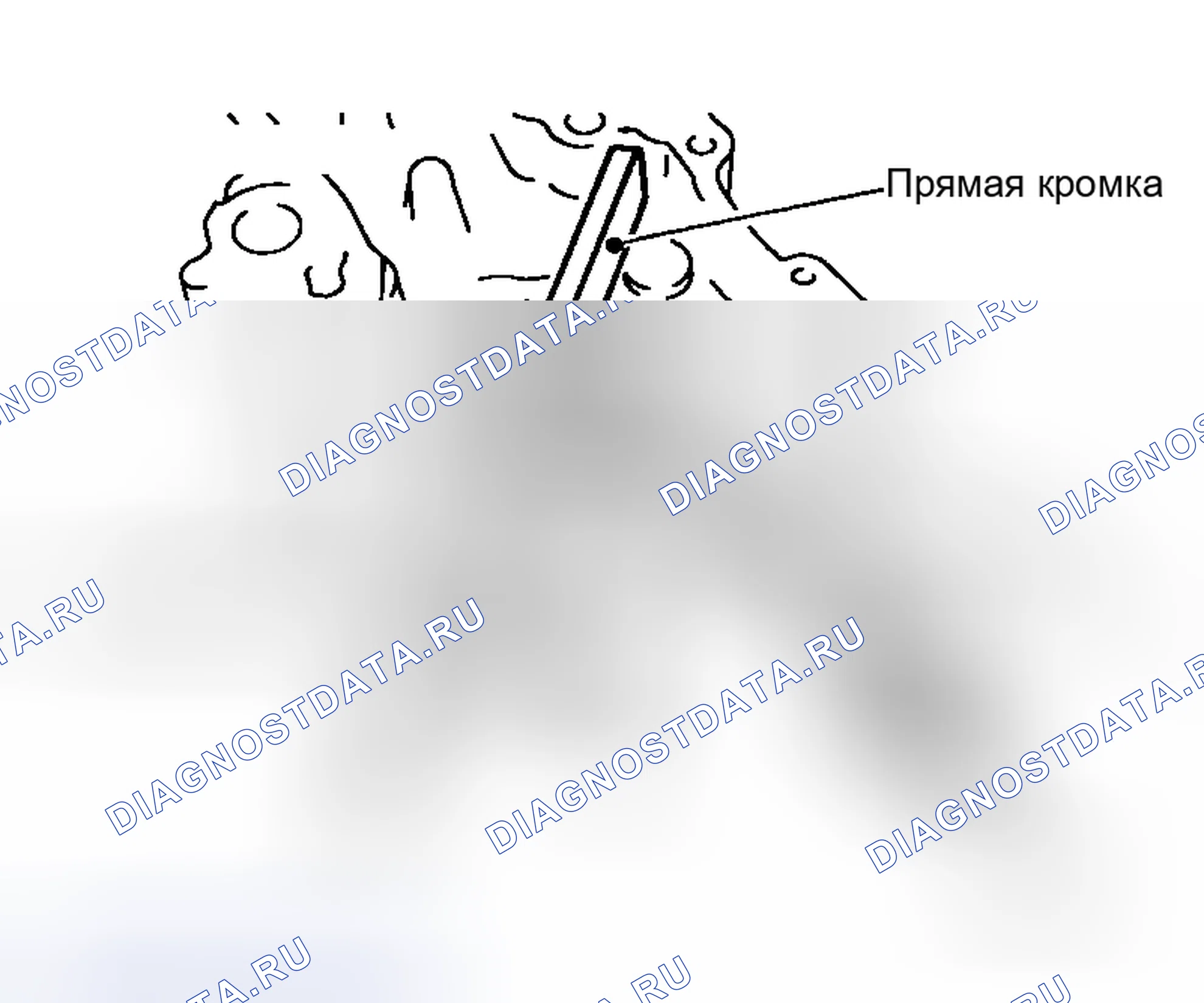 Рис. 11. Honda Stepwgn I