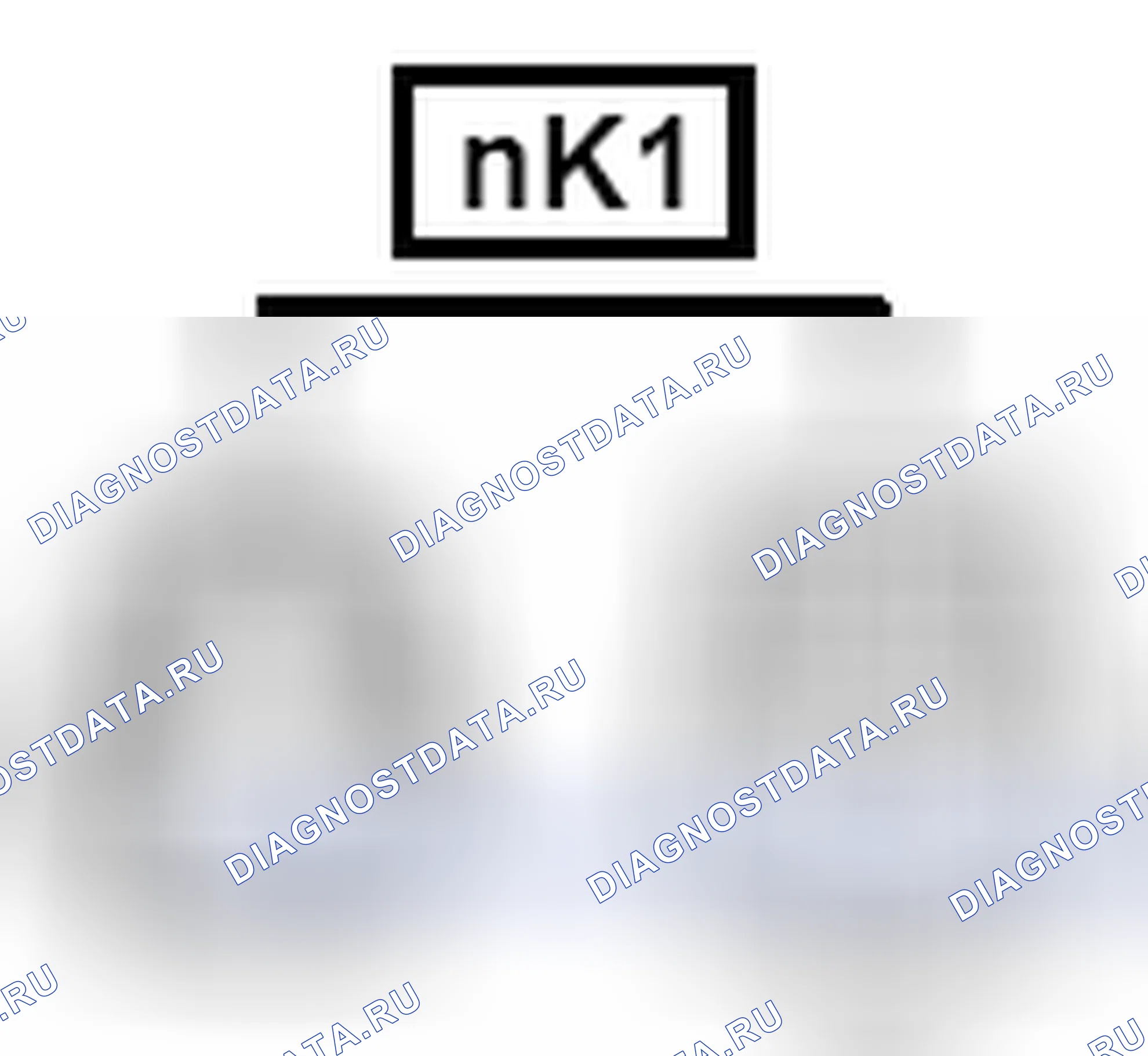 Рис. 828: Вид с торца соединителя (nk1). Toyota Sienna III