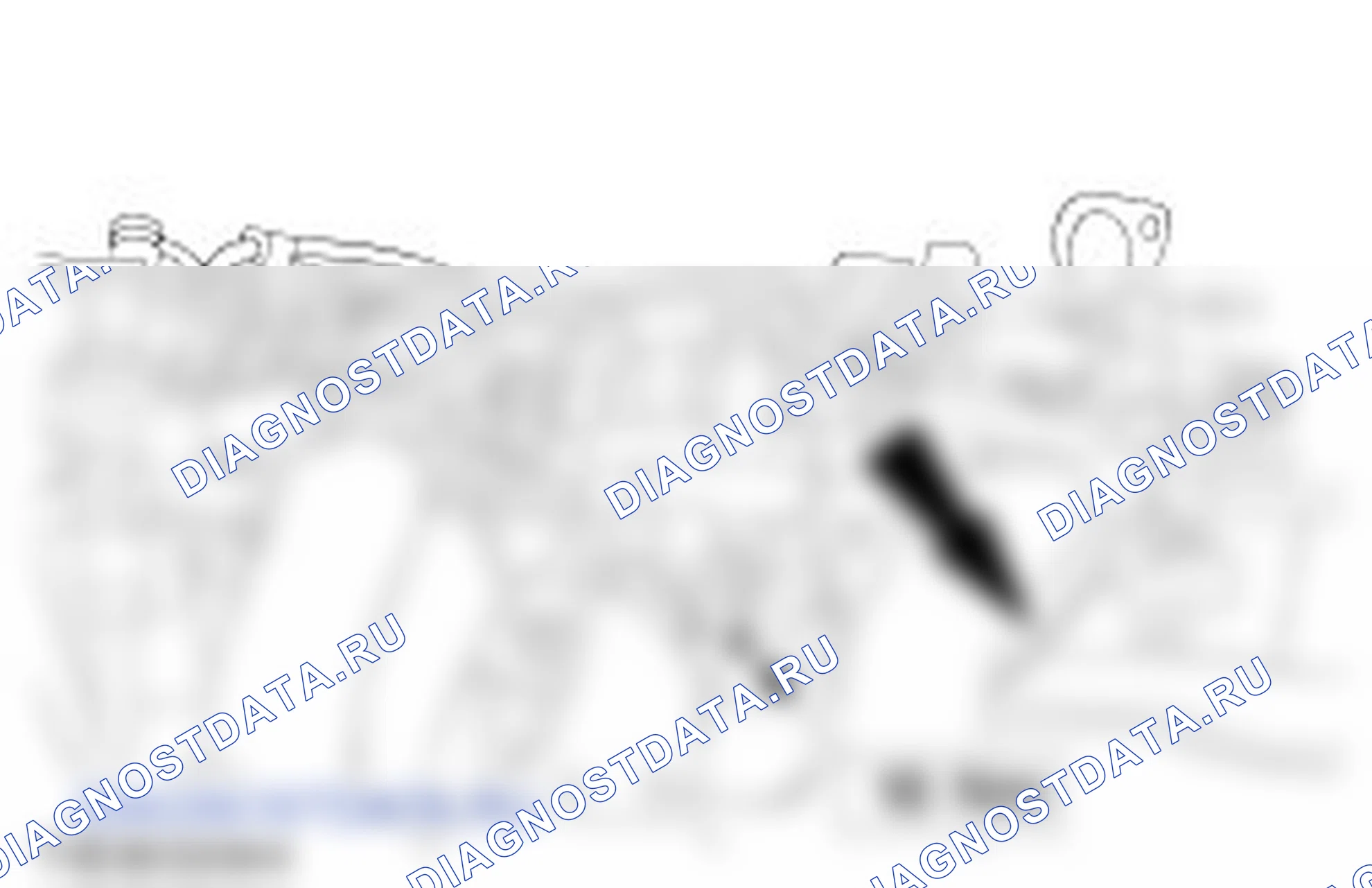 Сборка двигателя. Ford Transit Connect I