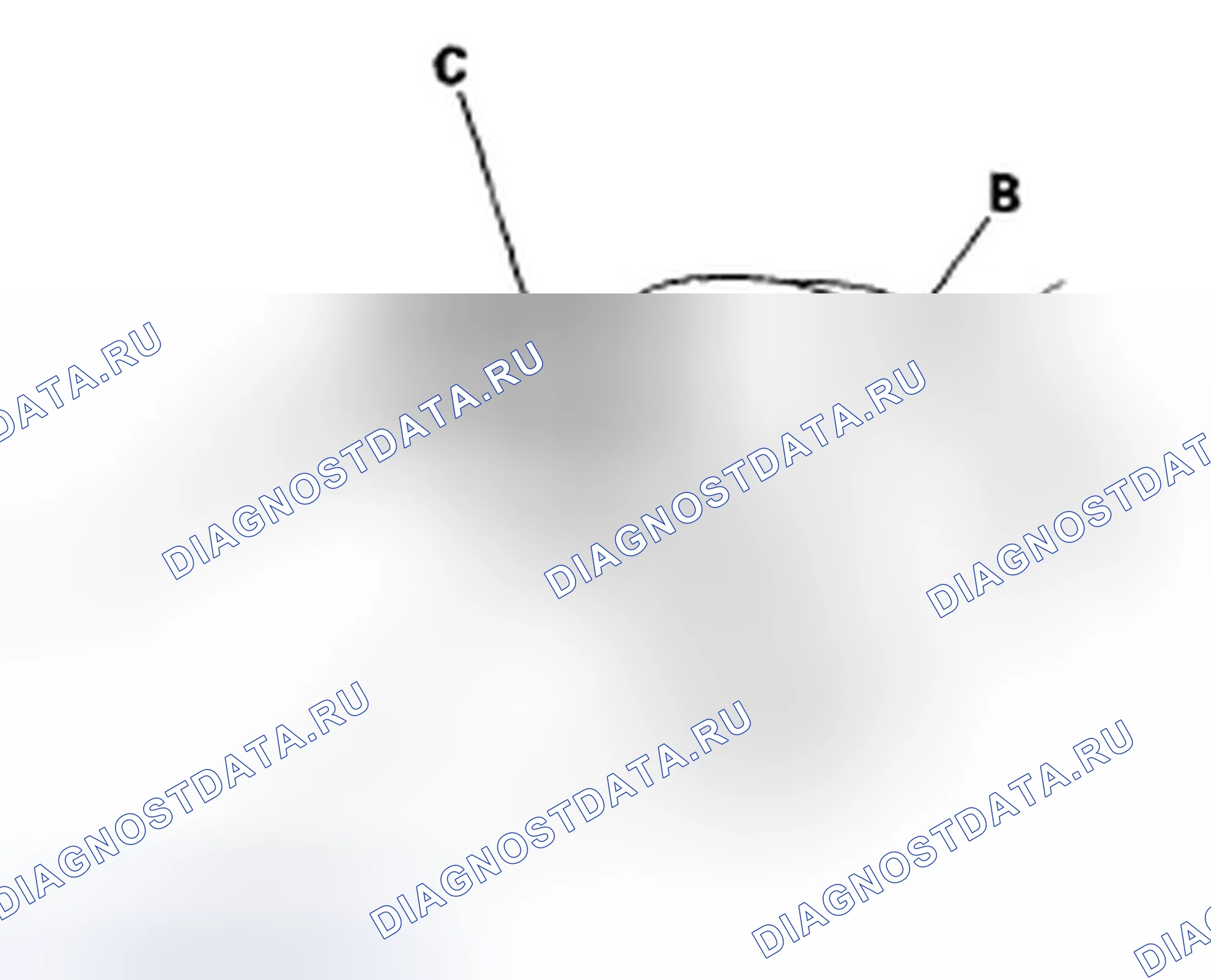 Рис. 23. Acura TSX I