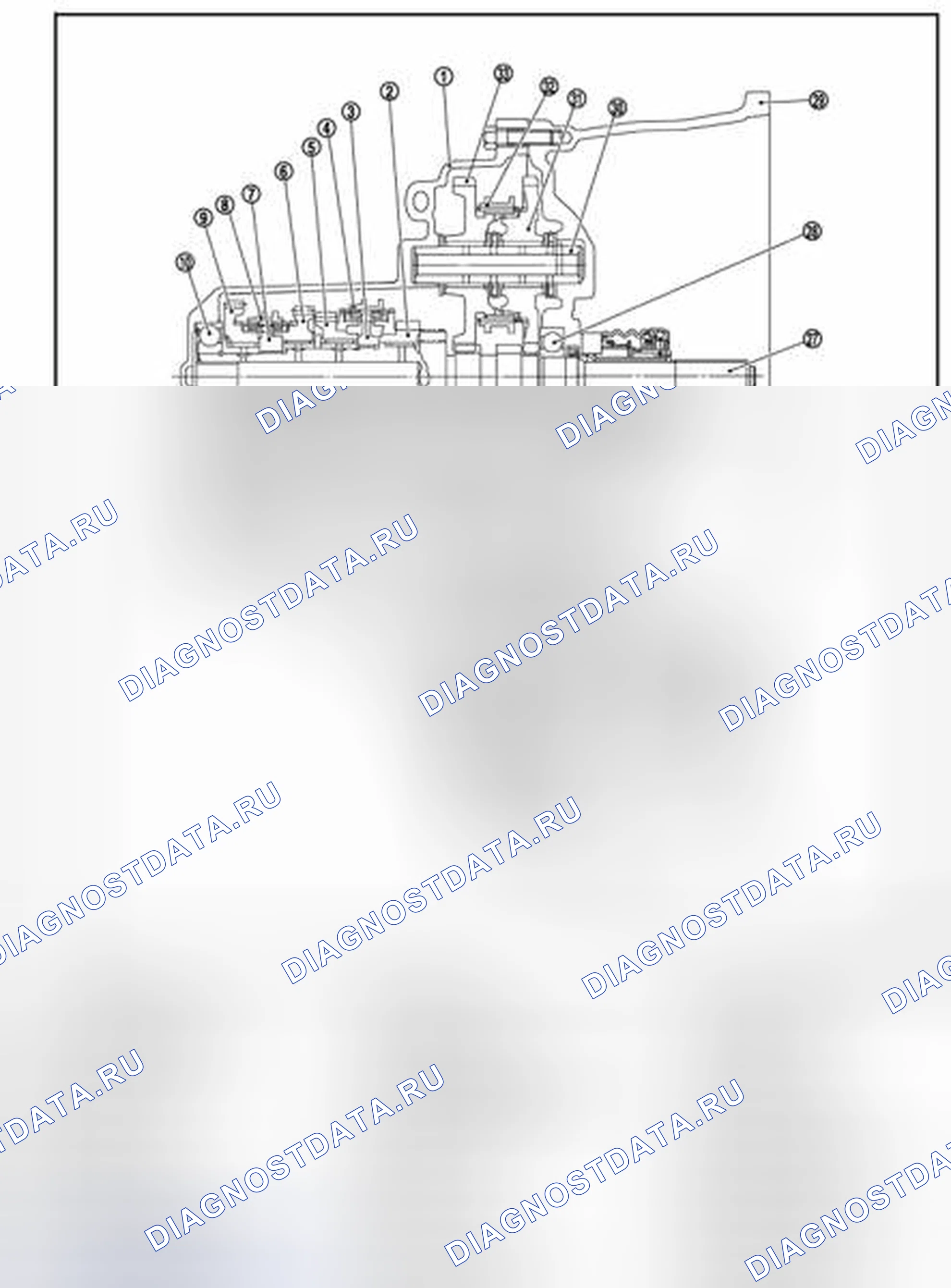 Рис. 334: Поперечное сечение. Nissan Sentra B16 рестайлинг