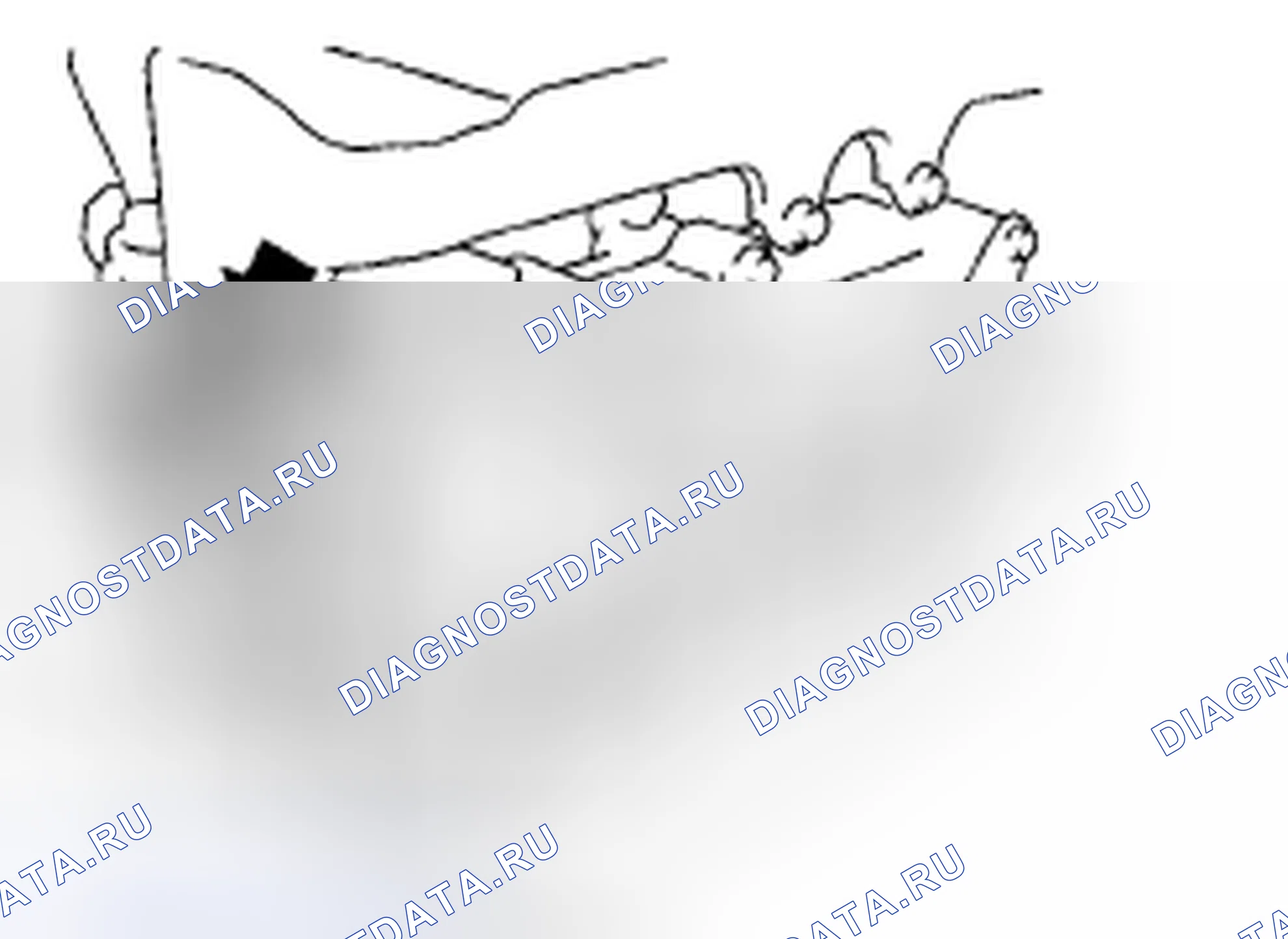 Рис. 592. Subaru Outback BP рестайлинг