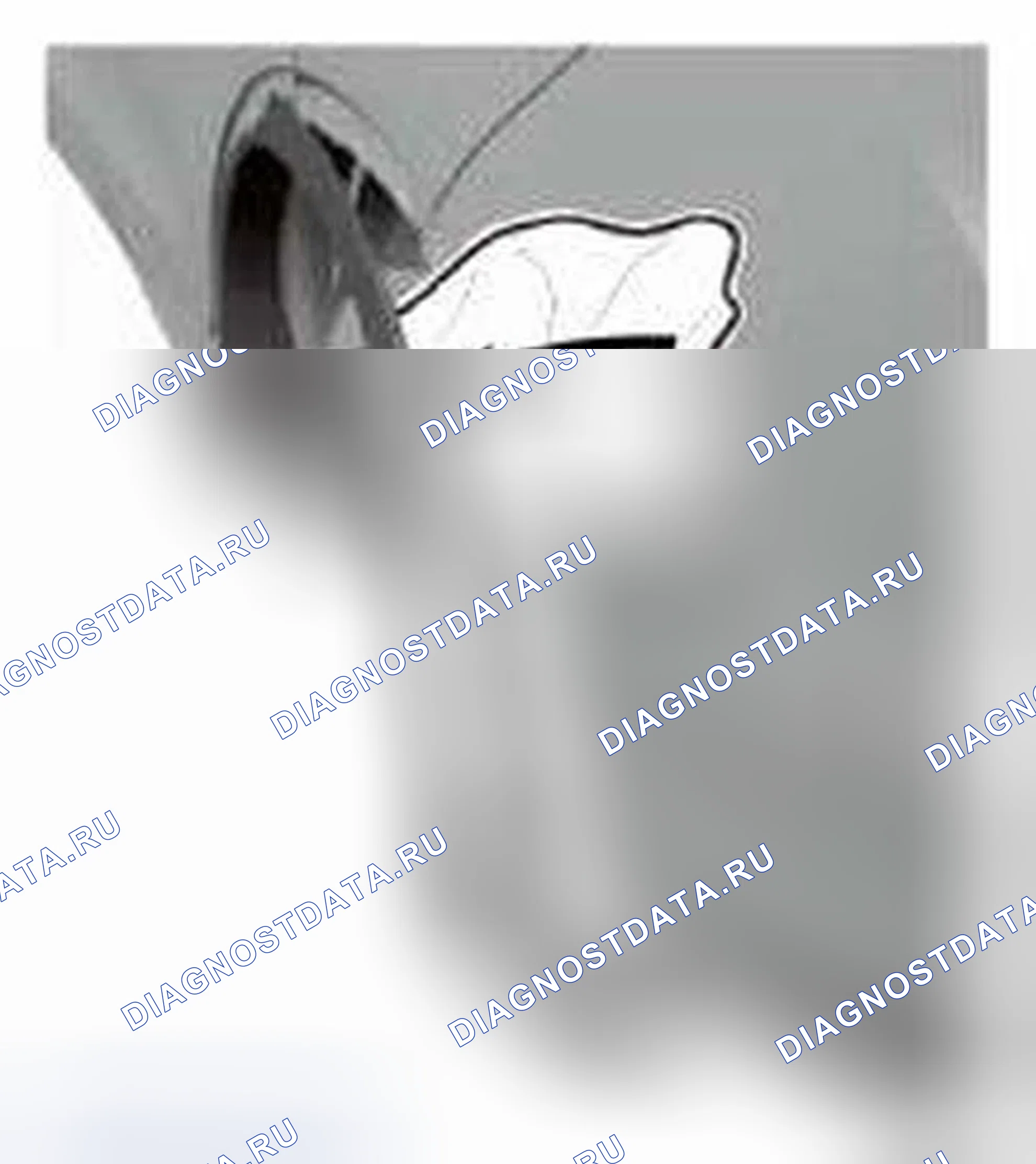 Рис. 230. Honda CR-V IV