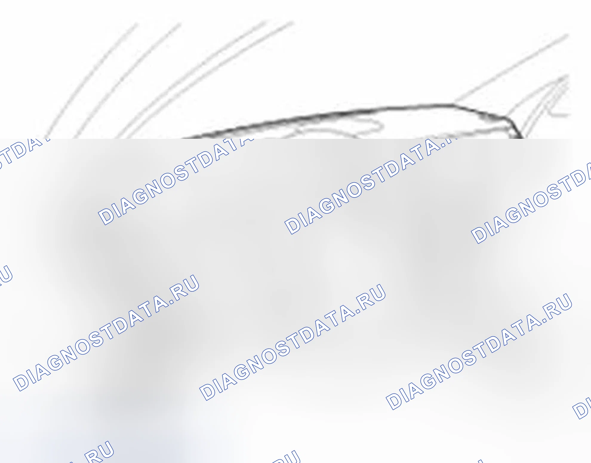 Рис. 121. Hyundai Equus II