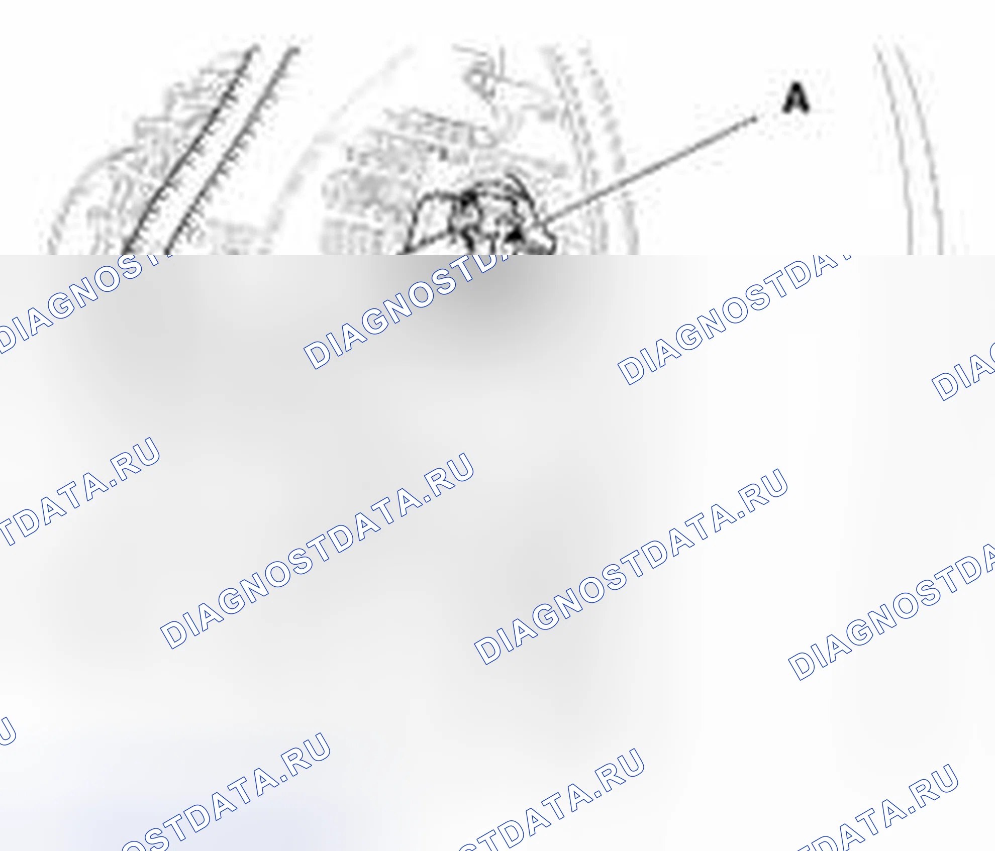 Рис. 84. Geely Vision X3 Pro I