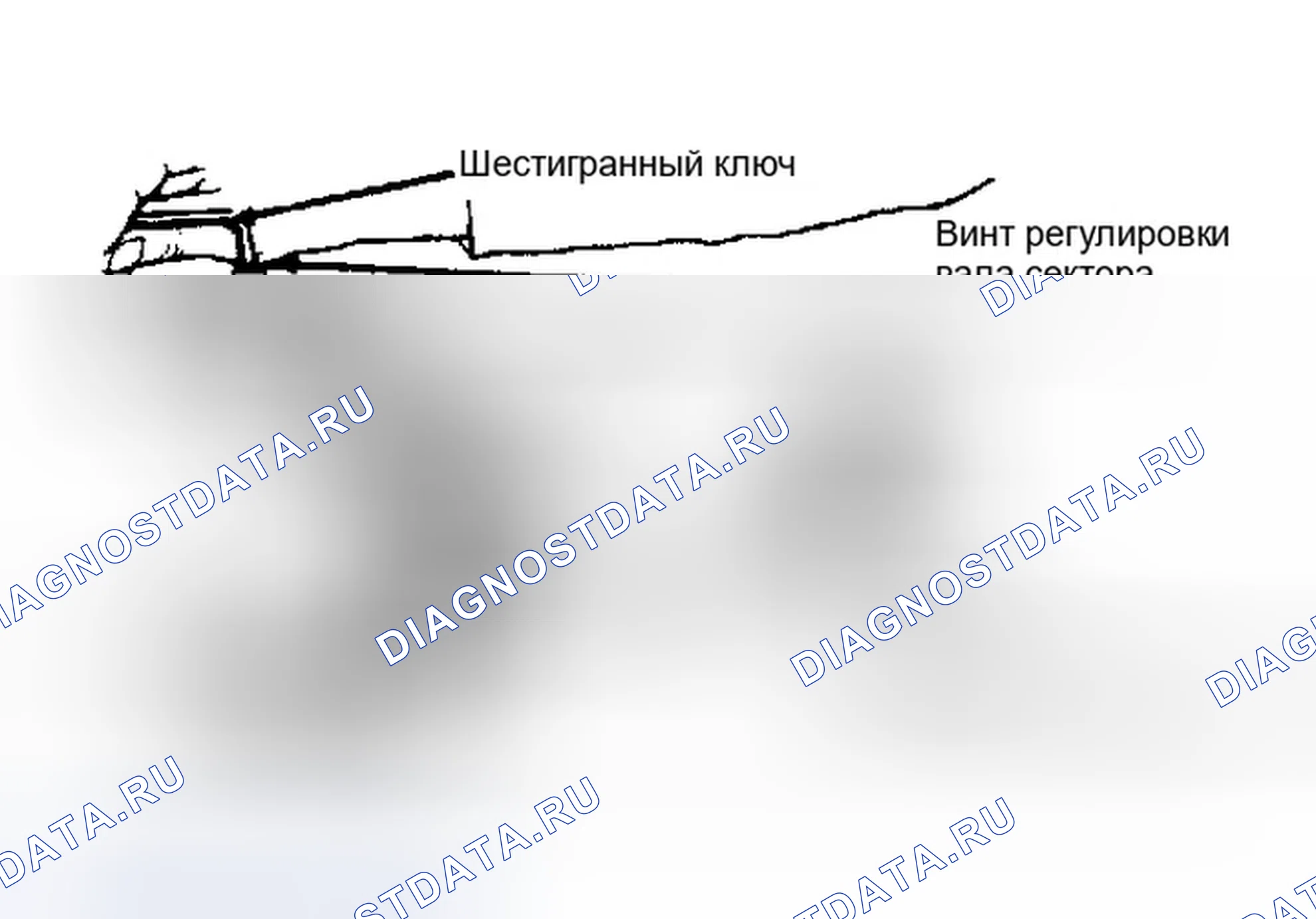 Рис. 13. Dodge Dakota WS 