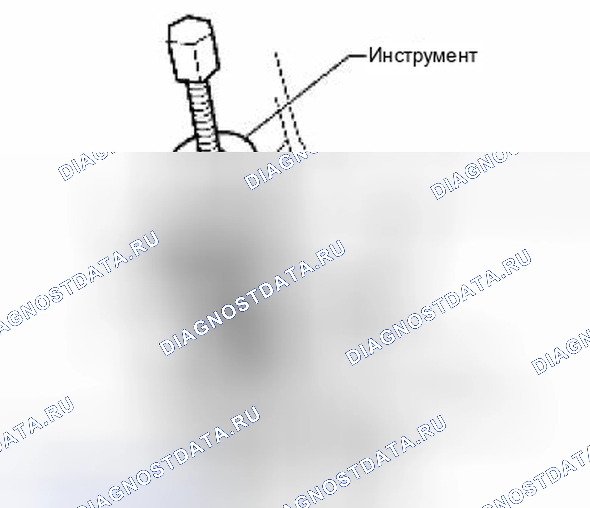 Рис. 71. Suzuki Equator I