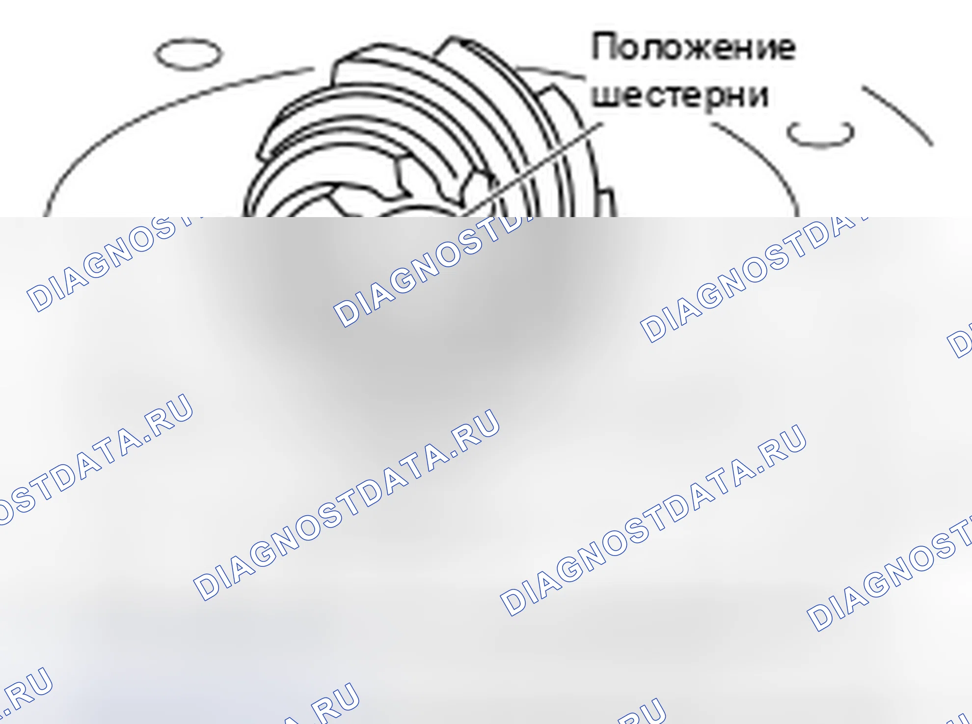 Рис. 289: Высота ведущей шестерни. Honda Torneo I