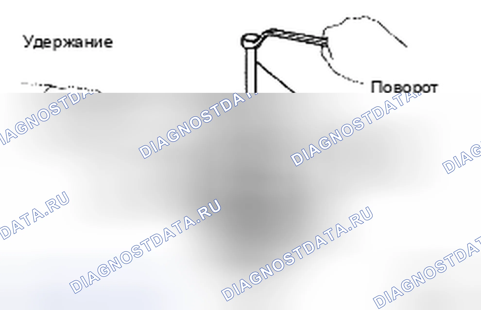 Рис. 492. Toyota Camry XV40