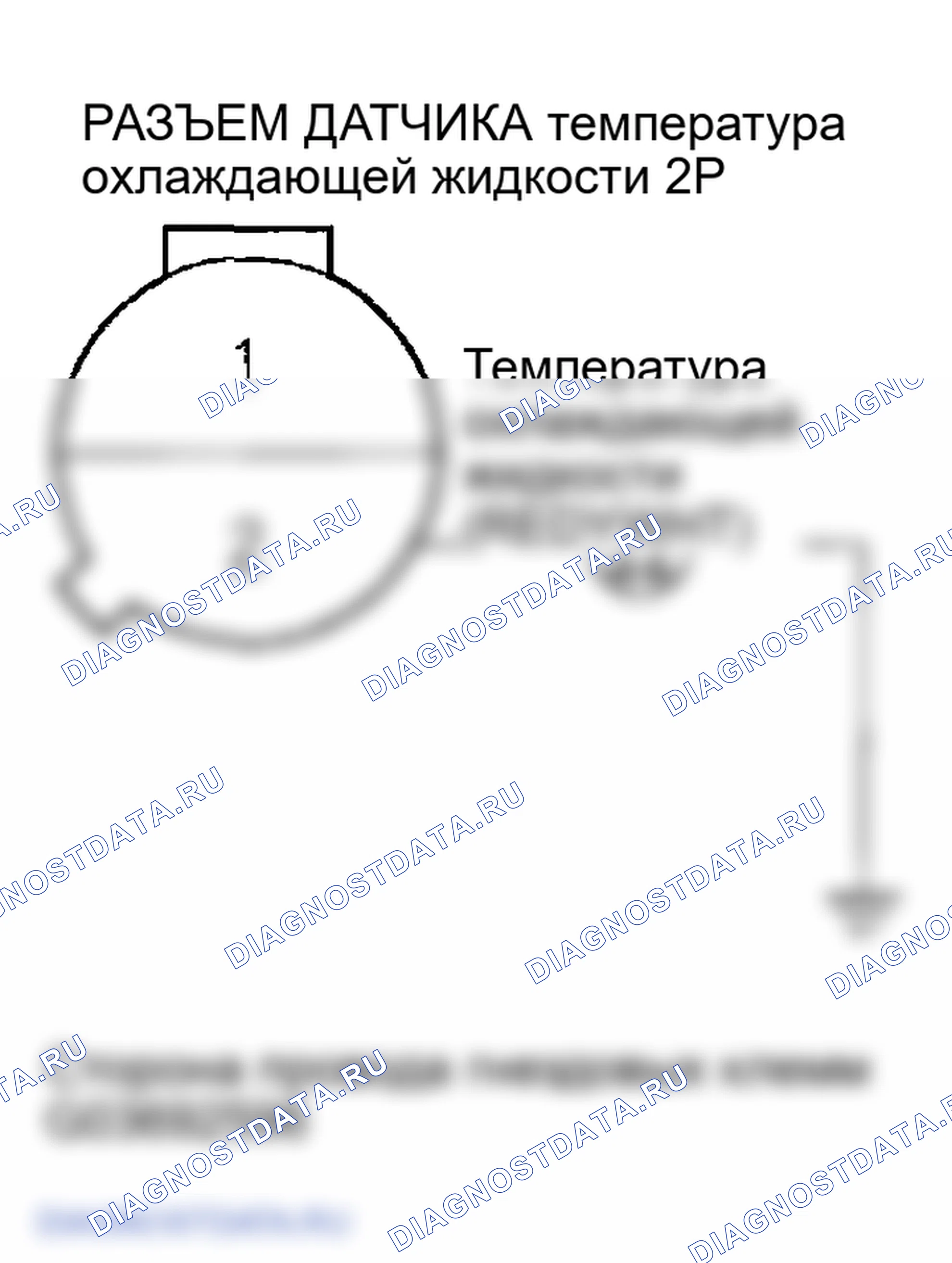 Рис. 33: расшифровка кода ошибки P0117: Низковольтная схема датчика температура охлаждающей жидкости. Honda S2000 AP1