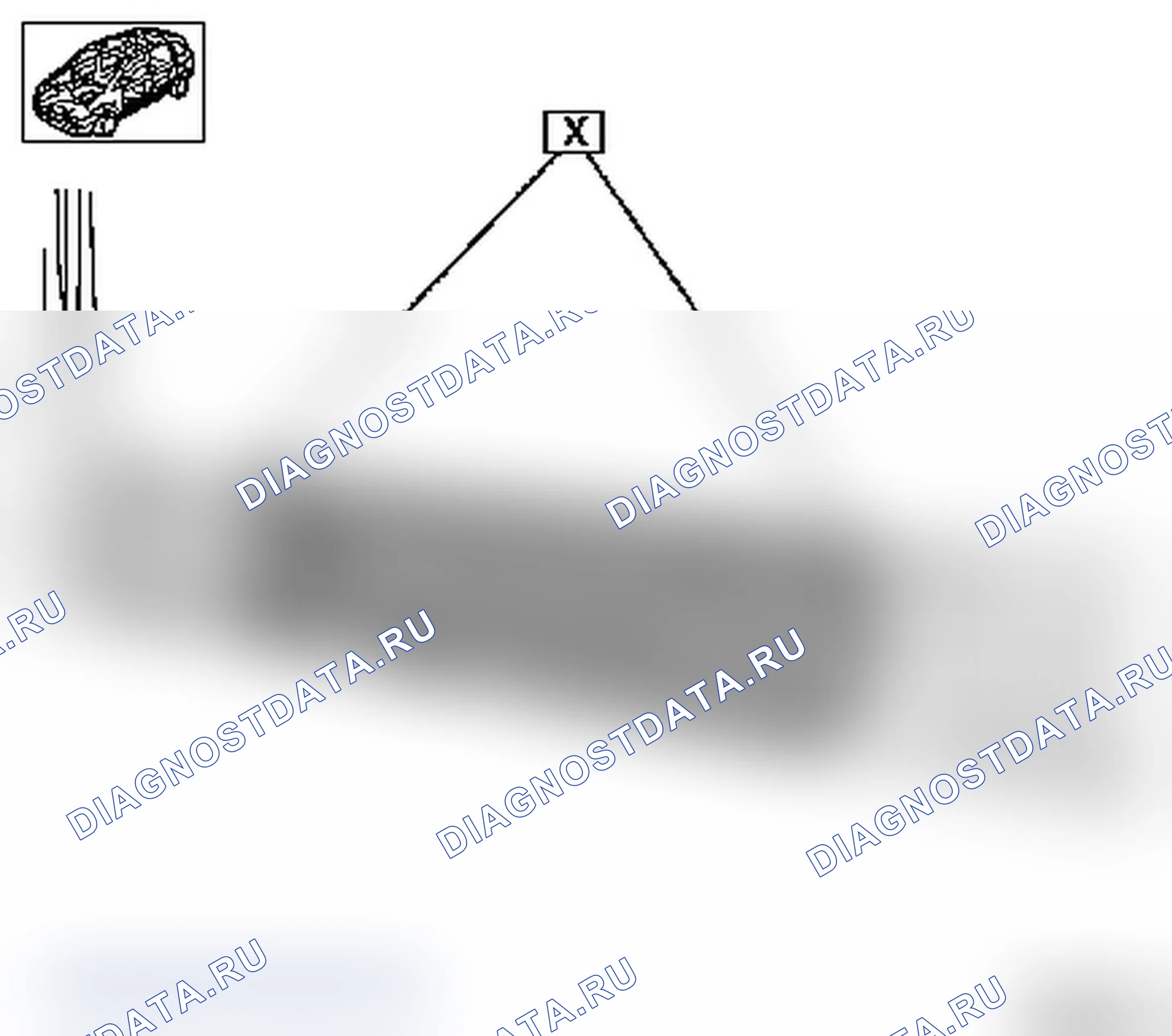 Вариант 1. Opel Vectra C